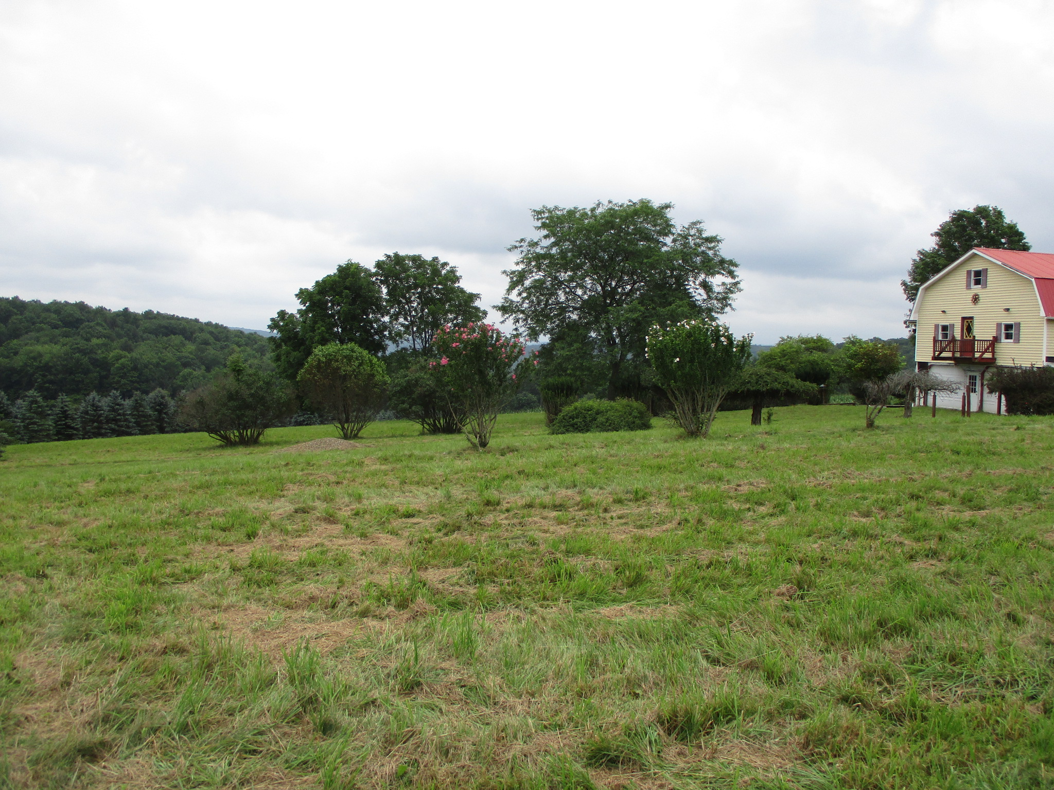 Listing Image 32