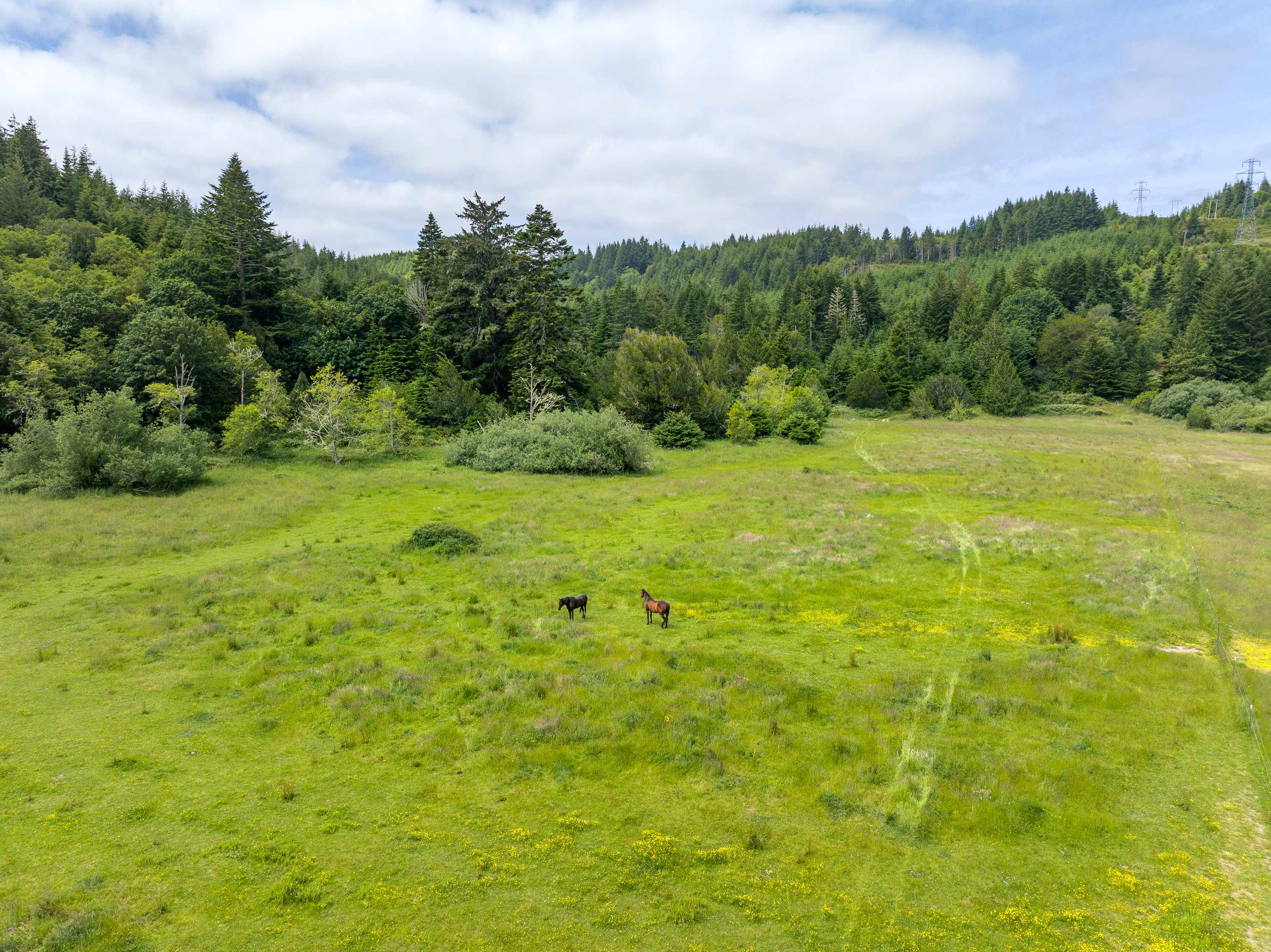 Listing Image 50