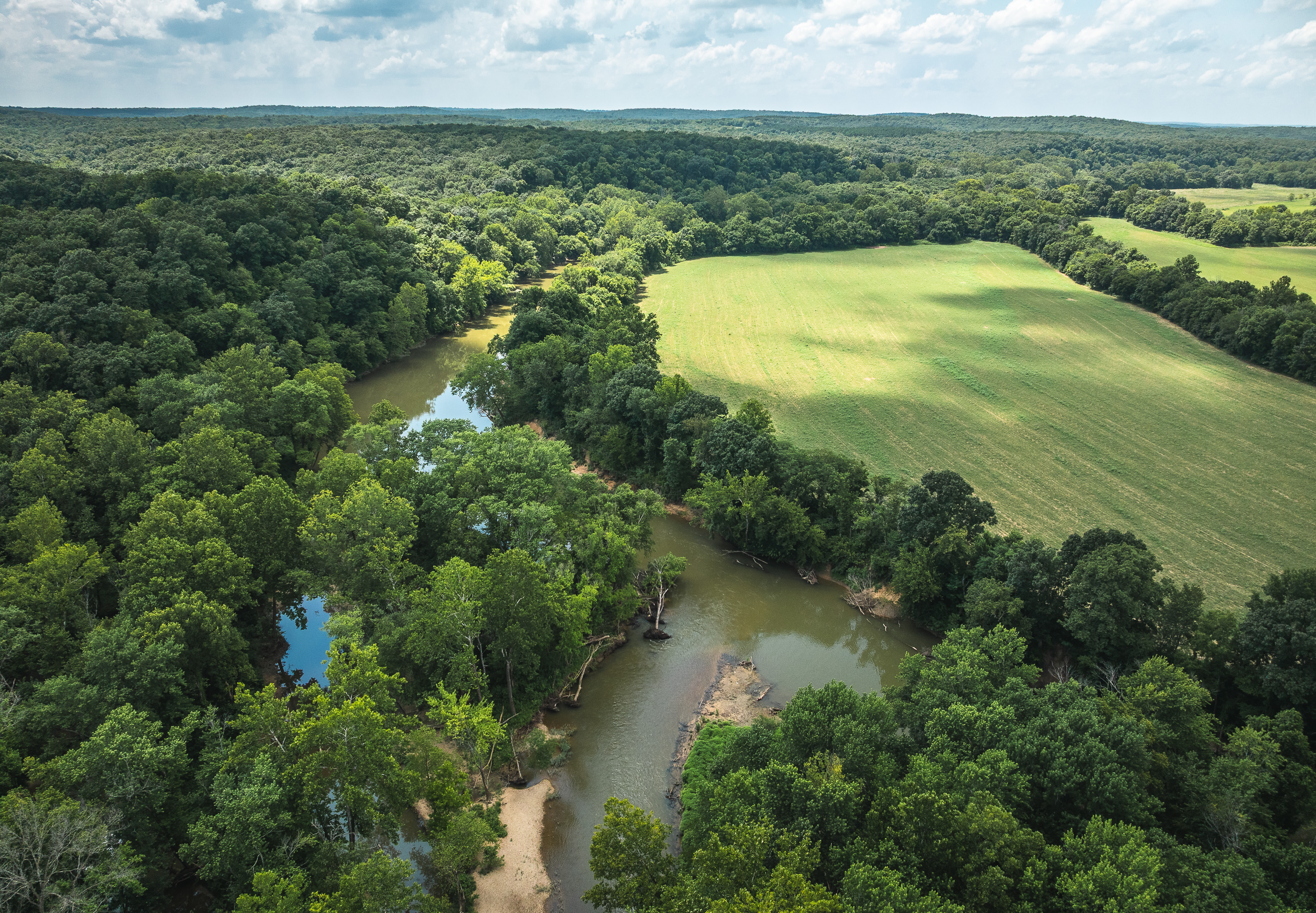 Gasconade Angus Ranch
