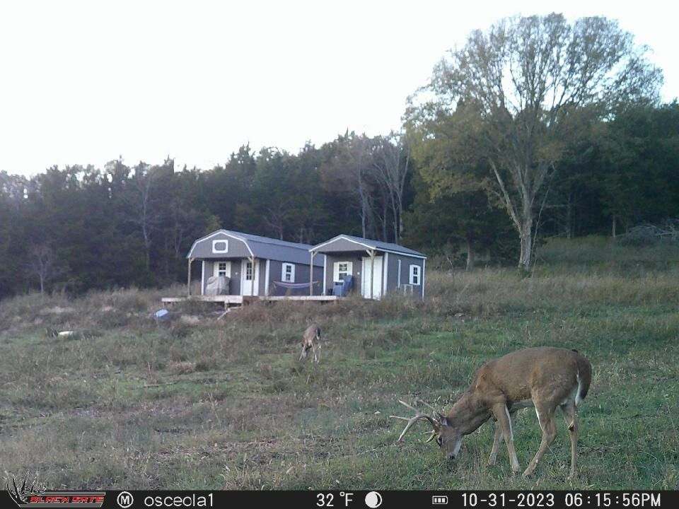 Listing Image 34