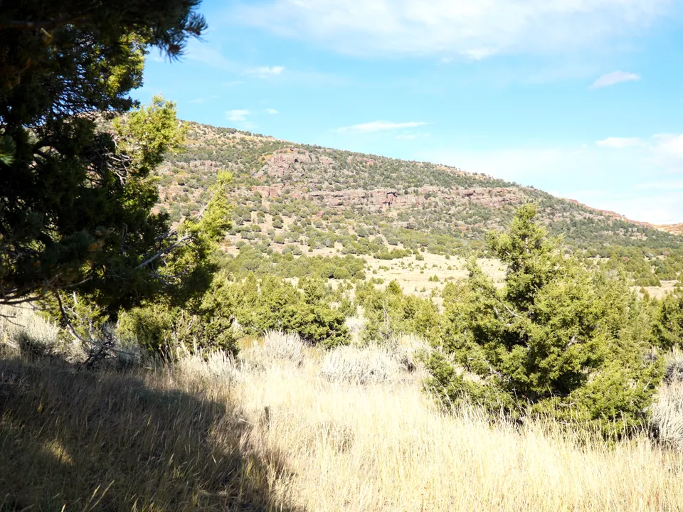 Maybell Grazing & Big Game Ranch