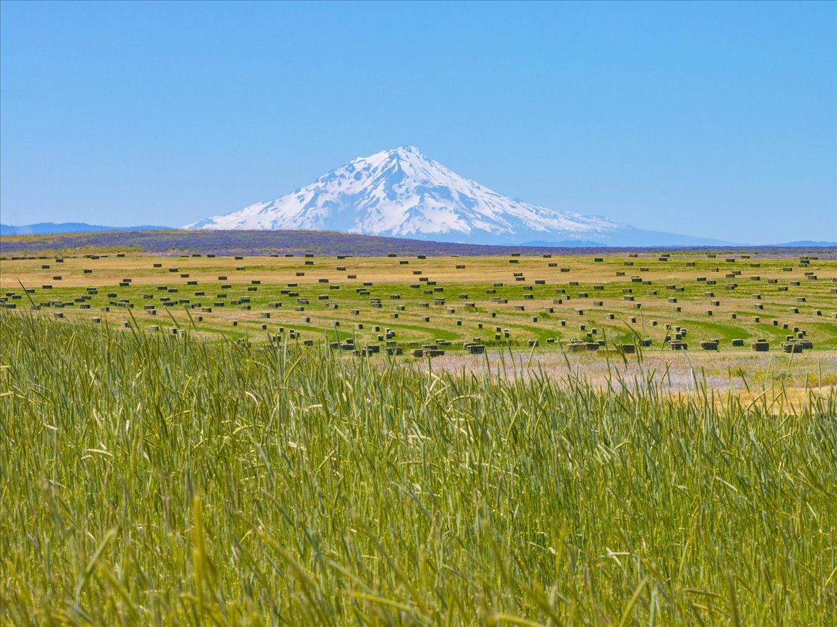 Mystic Mountain Ranch