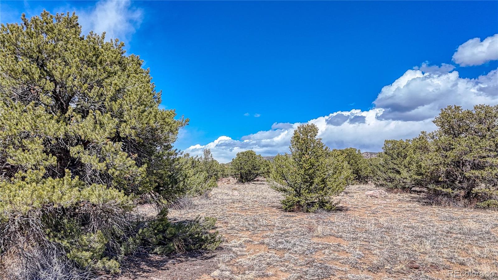This Salida property is ready for you to build your dream home!