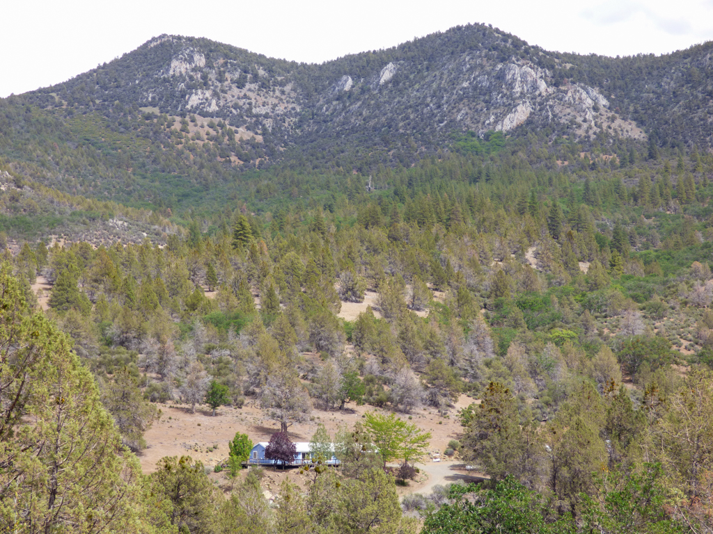 Blacktail Hills Retreat