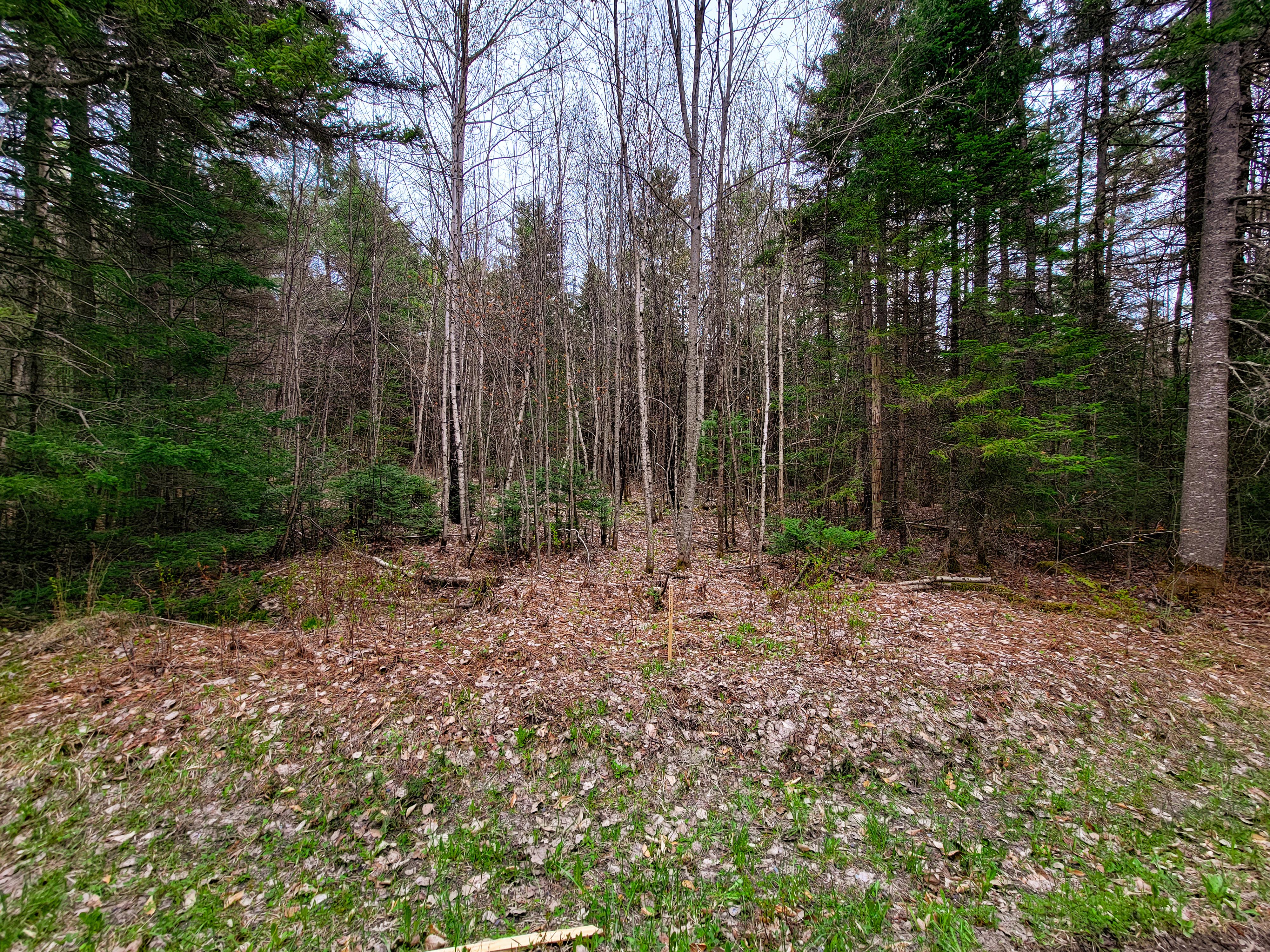 Listing Image 24