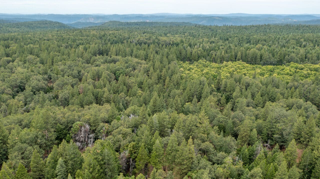 Foresthill Divide