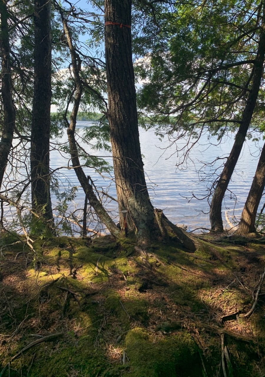 Long Lake Lot