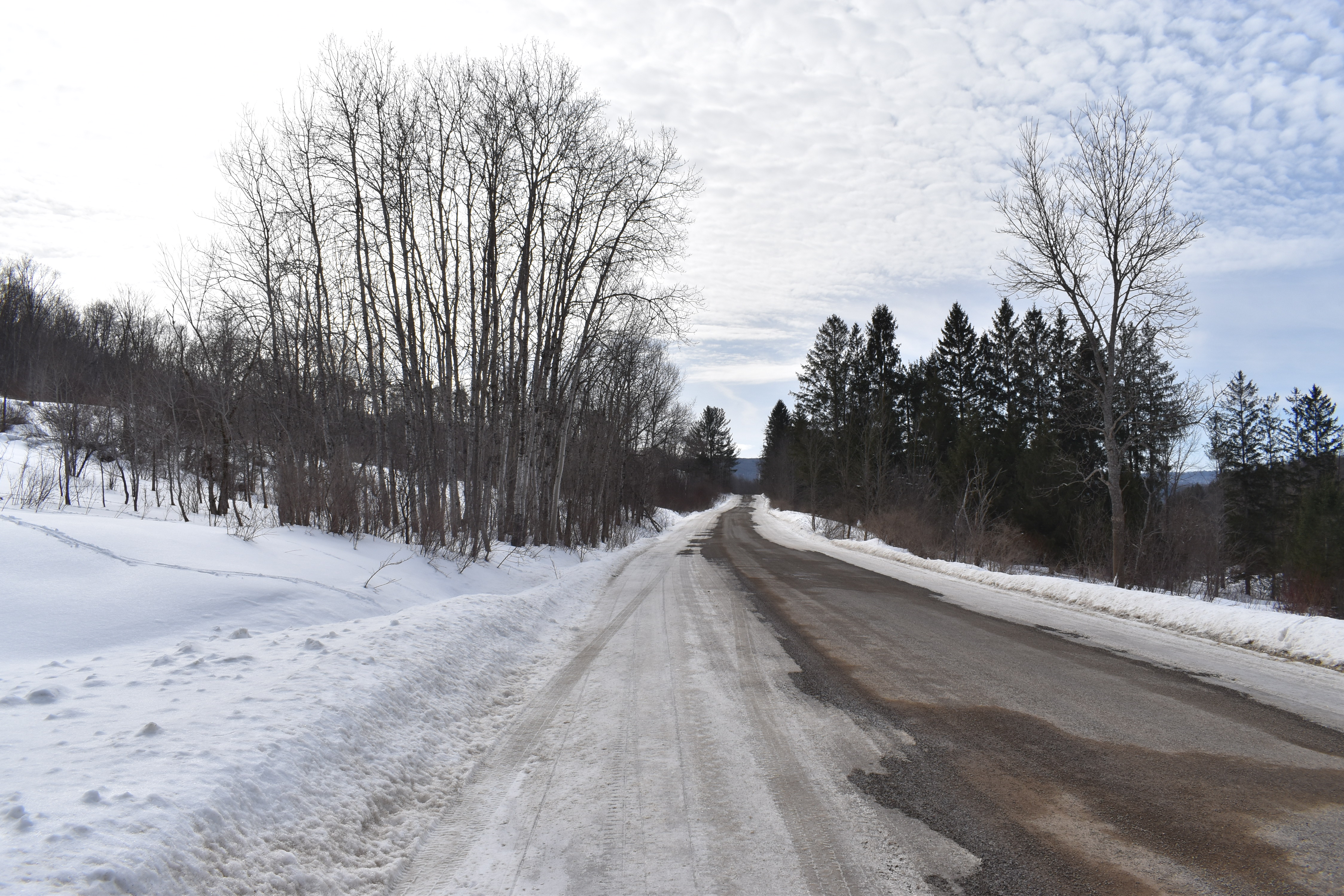Morgan Hollow