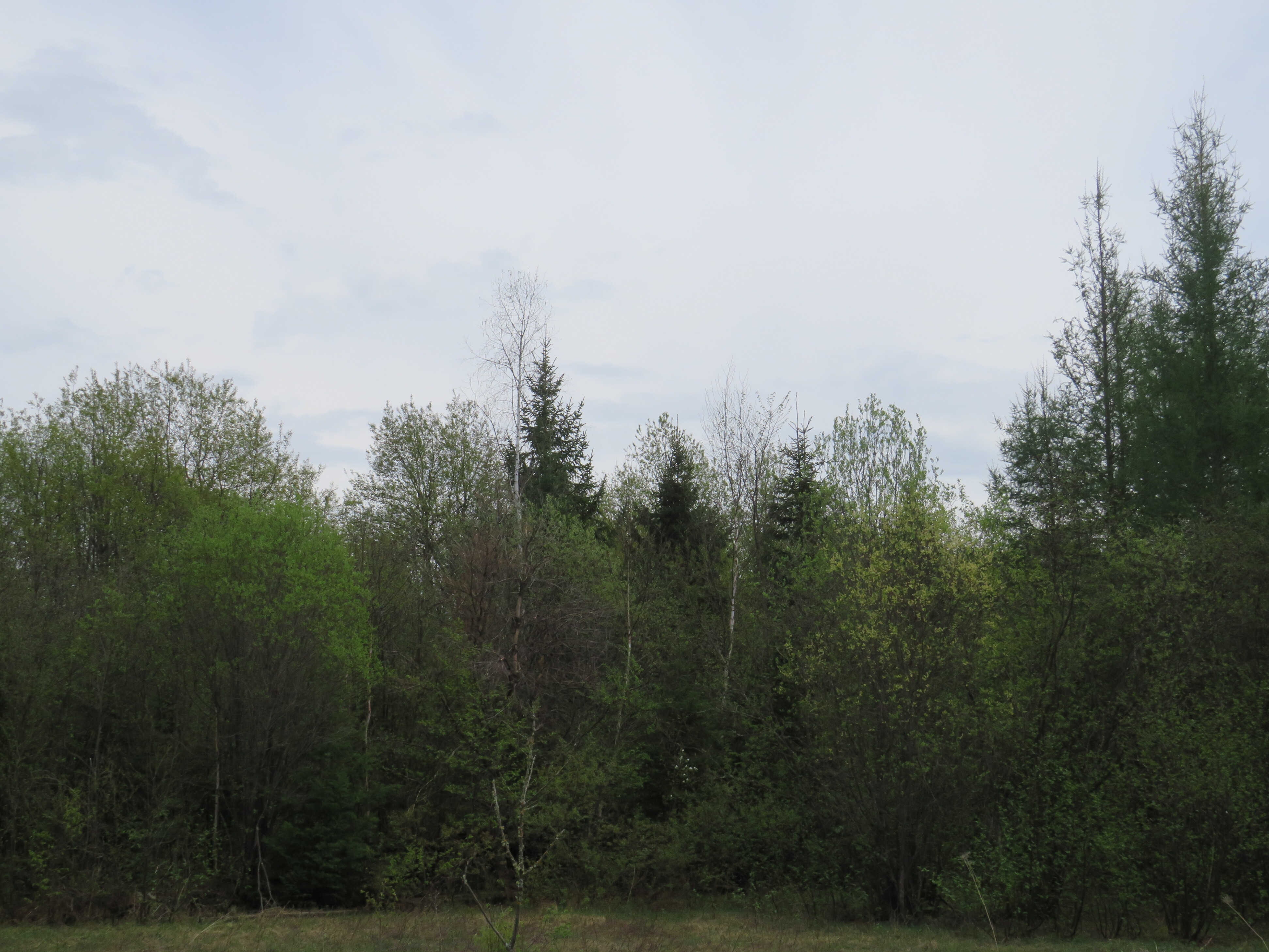 160 Acre Wilderness Retreat 50175391