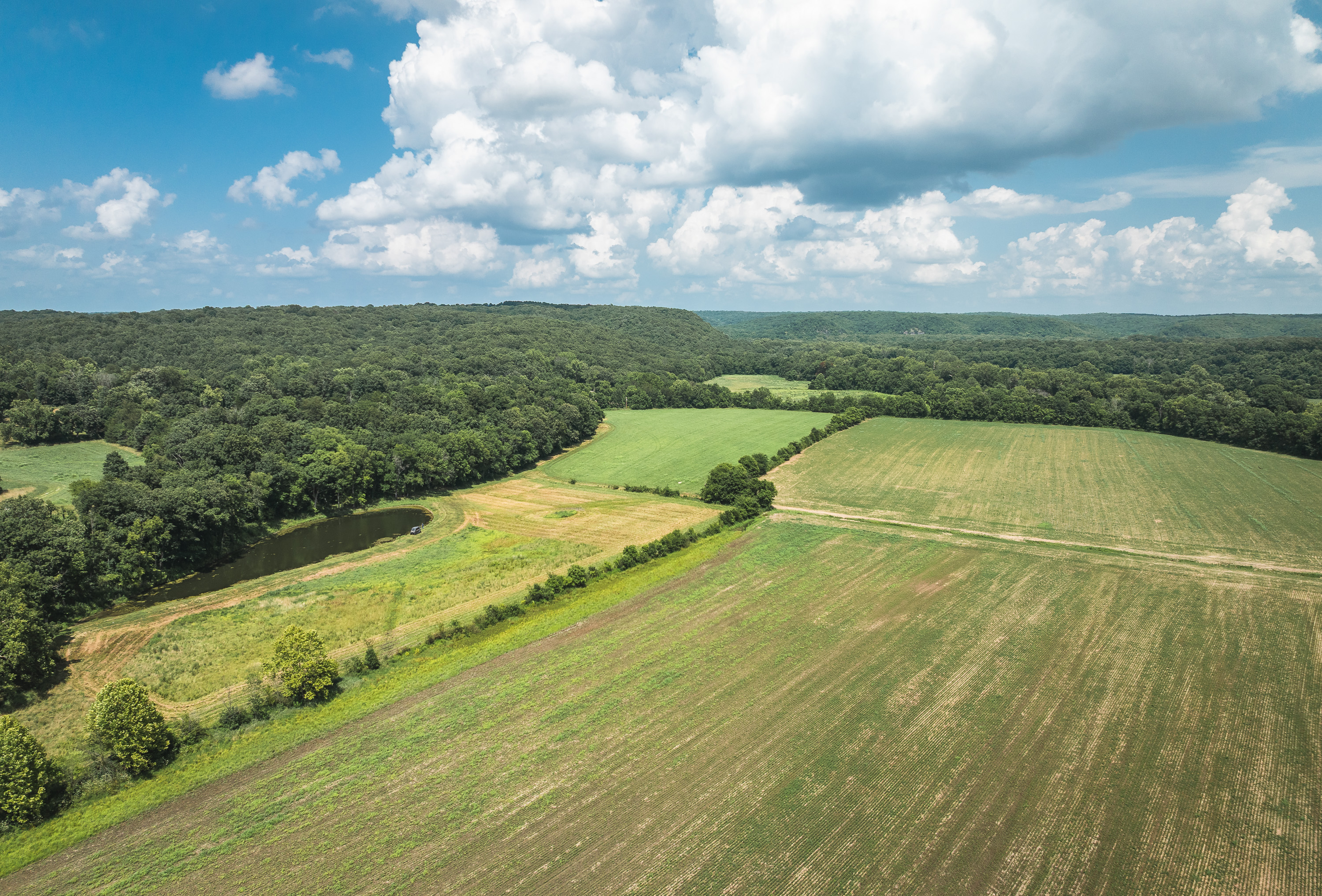 Gasconade Angus Ranch