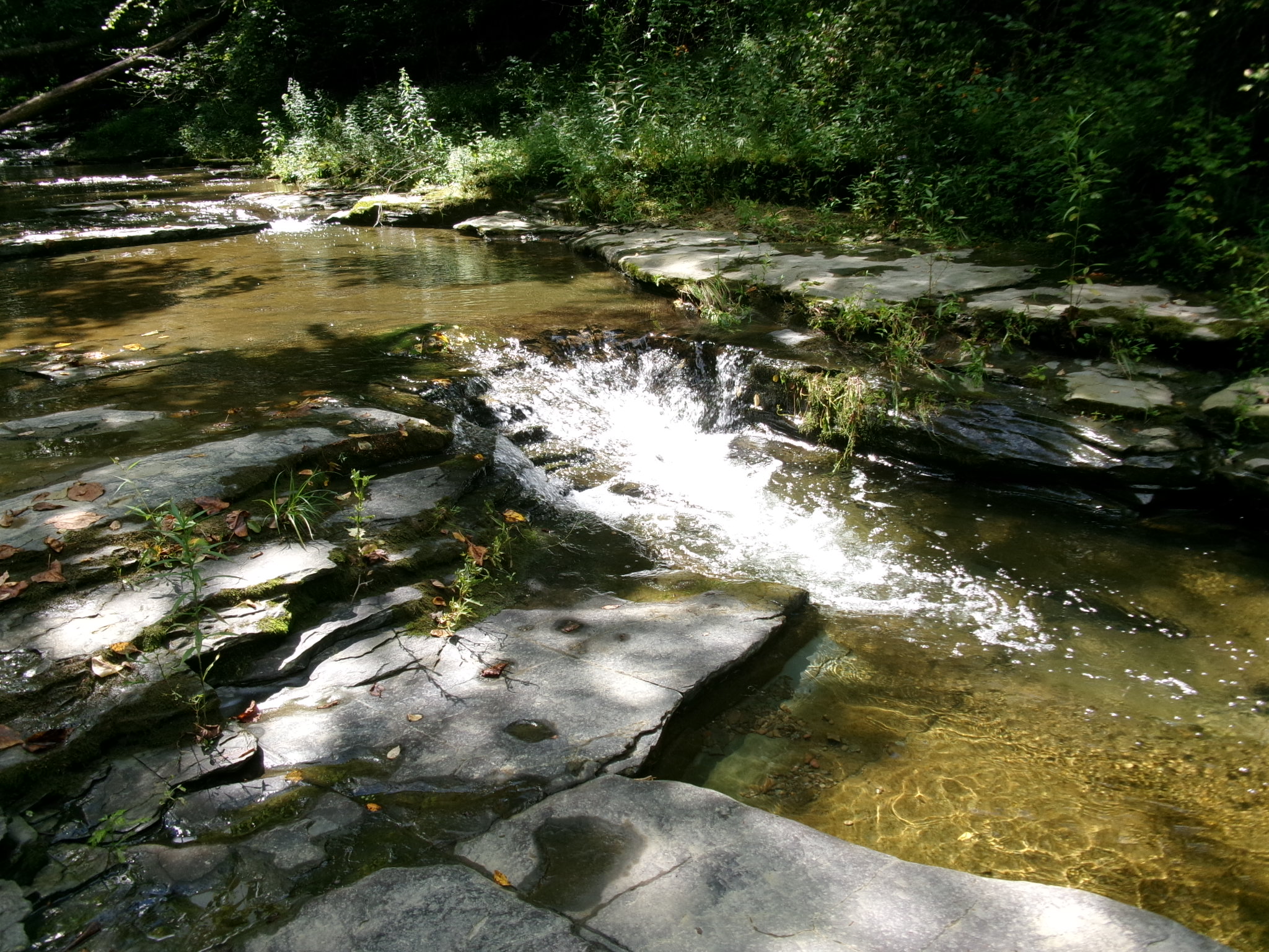 Listing Image 50