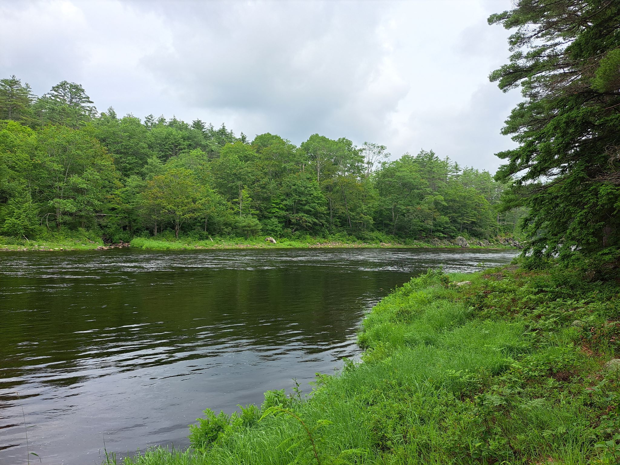 Hudson River Woods & Water