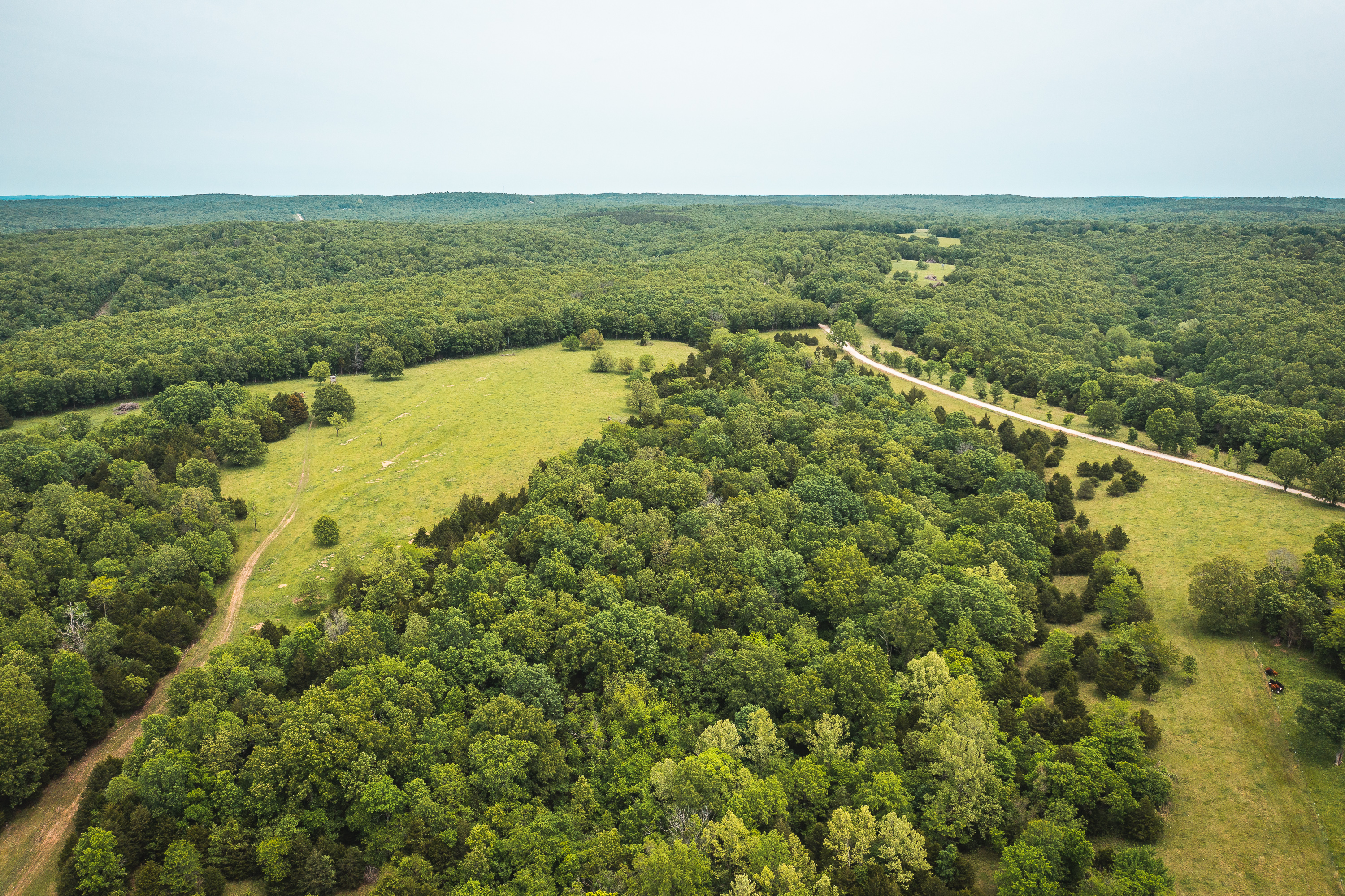 Gasconade Angus Ranch