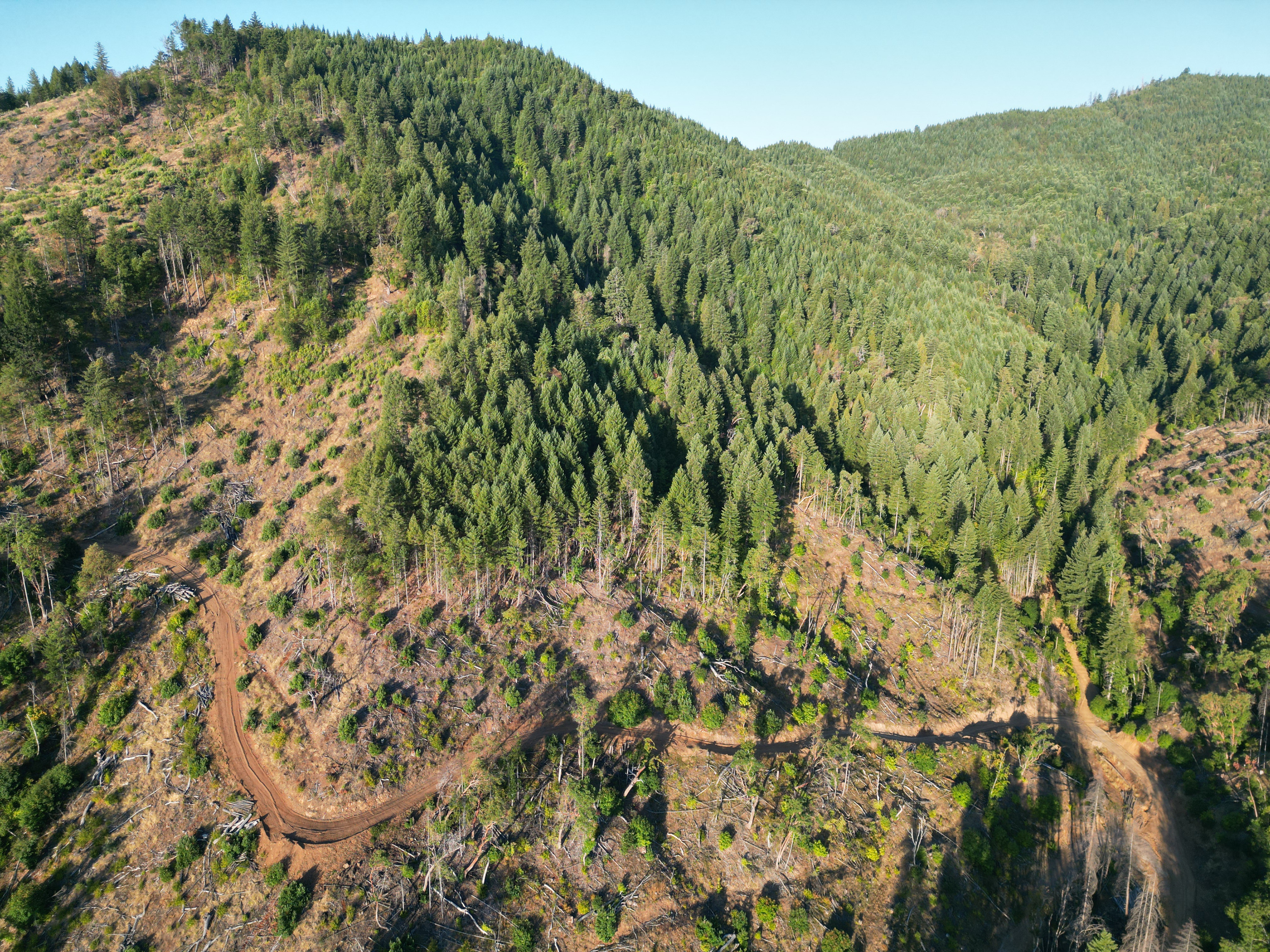 471 AC-E Evans Creek Rd