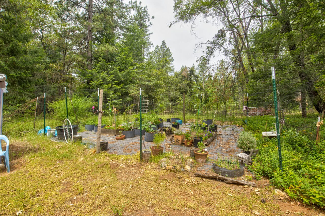 Foresthill Divide
