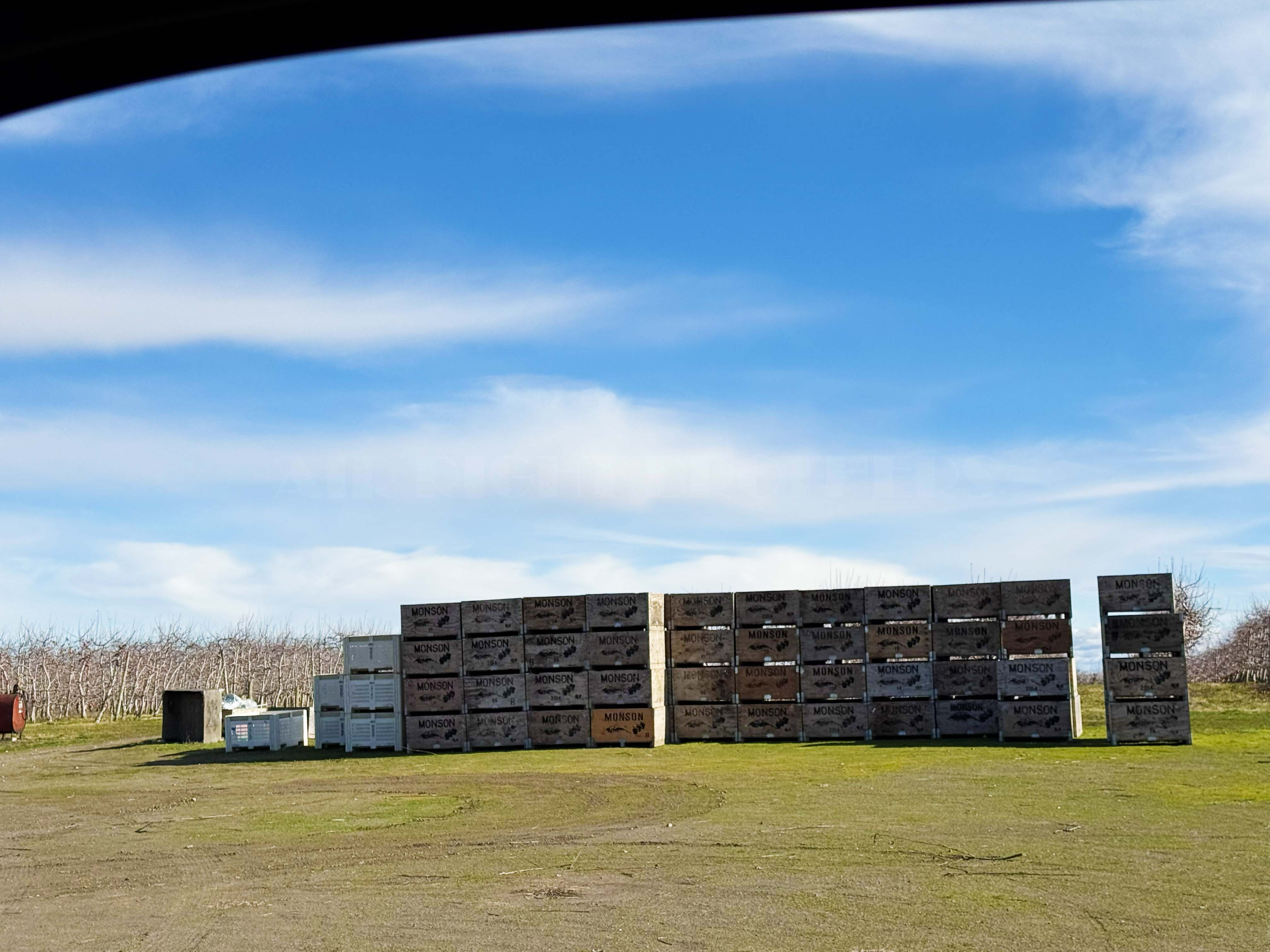 Best Price in County for Productive Orchard