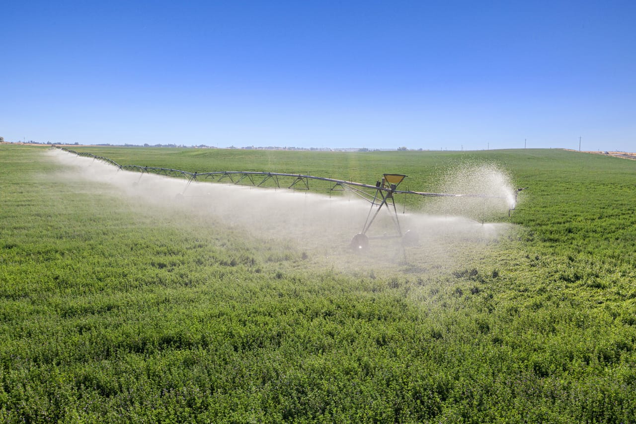 NE Cherry Lane - Productive Irrigated Farm for Sale