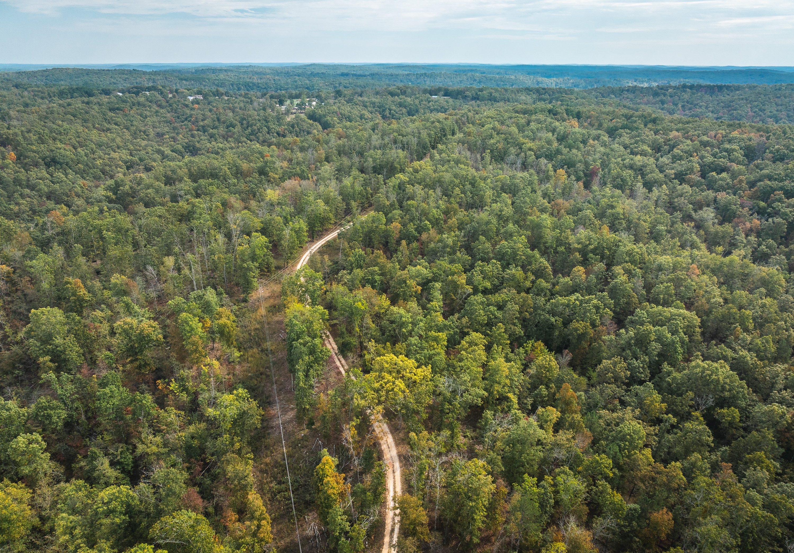 Little Gladden Creek Hunter