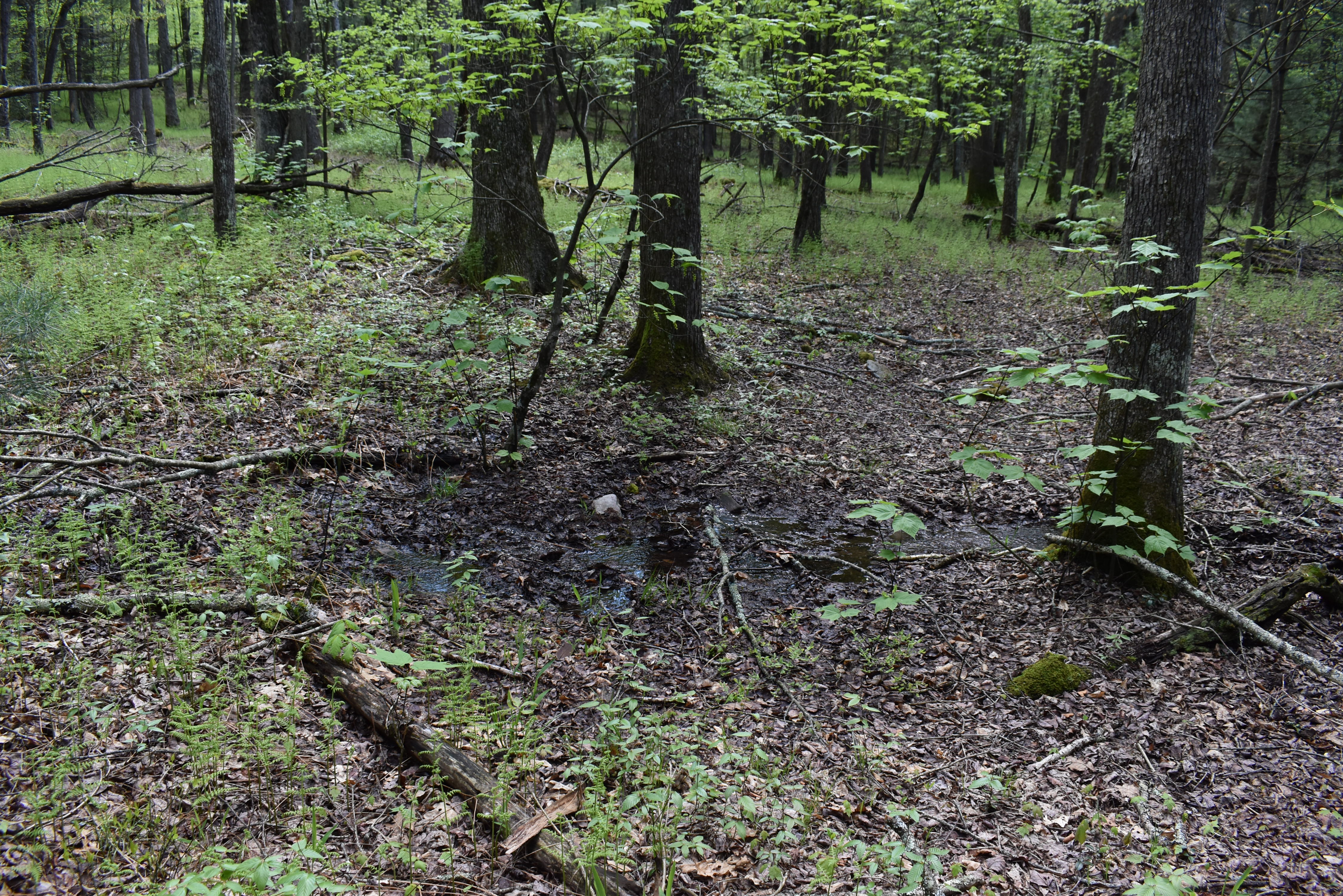 Grugan Hollow