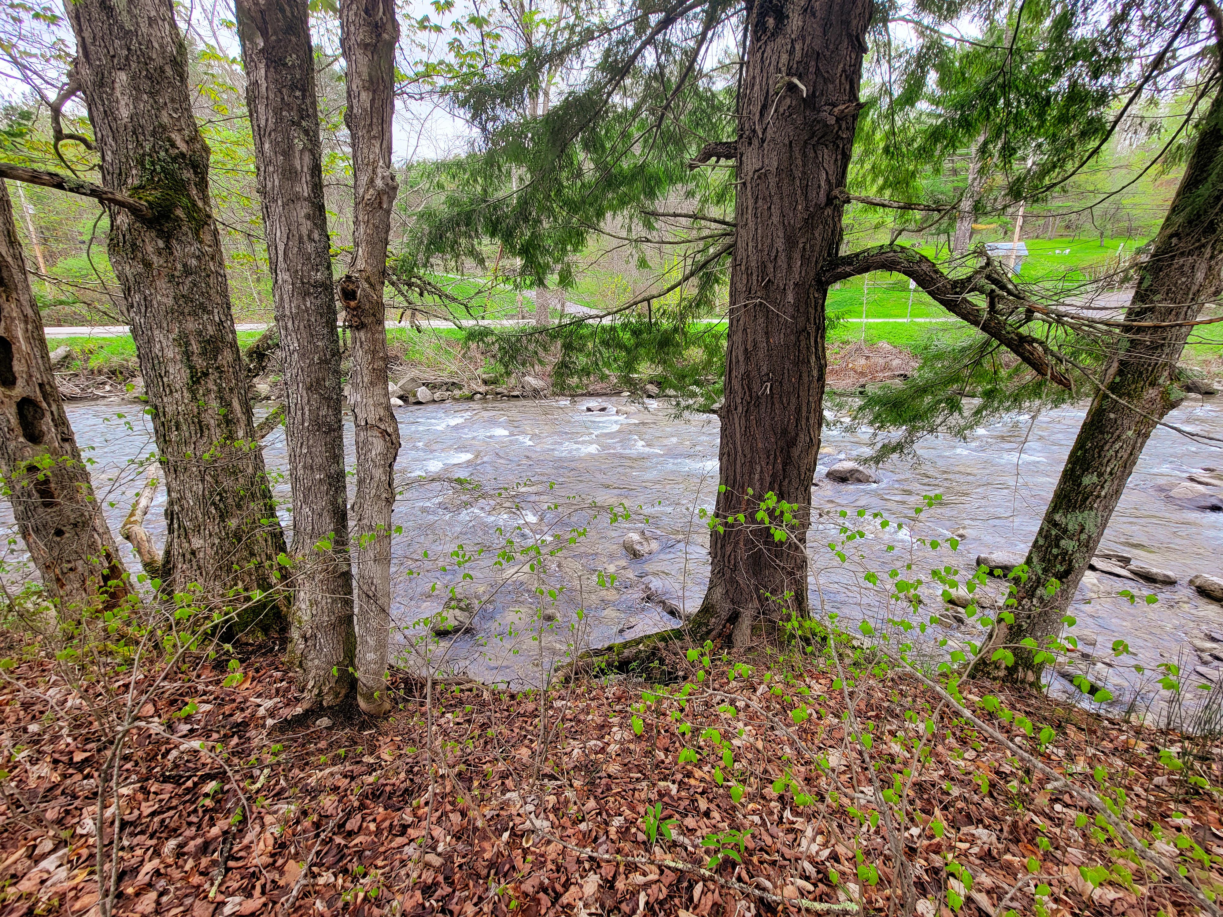 12 Meadowbrook Ln - Chelsea