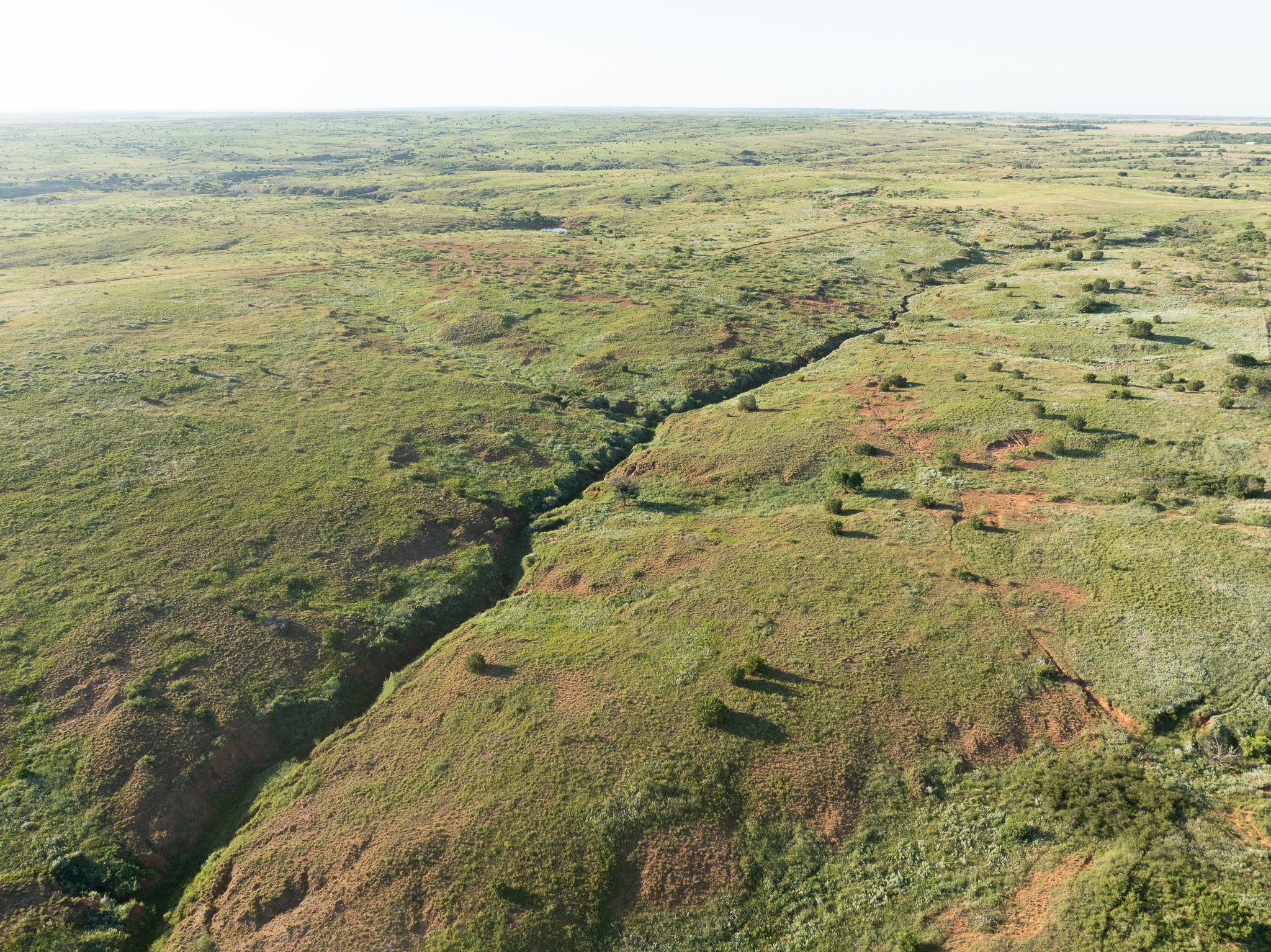 Miller Land & Cattle, LTD