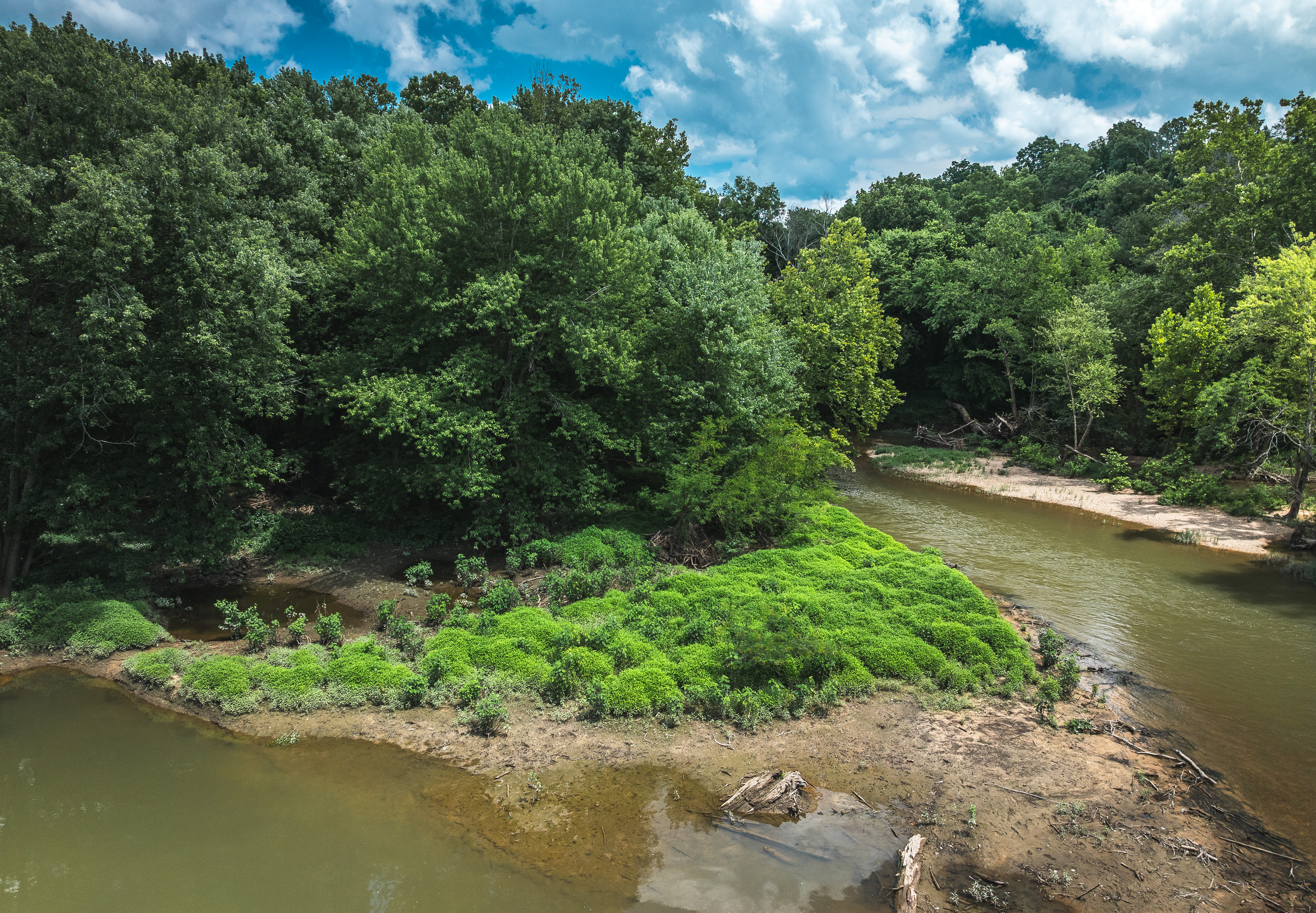 Gasconade Angus Ranch