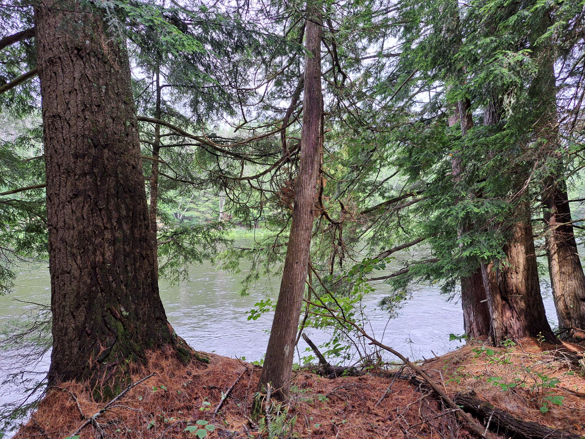Hudson River Woods & Water