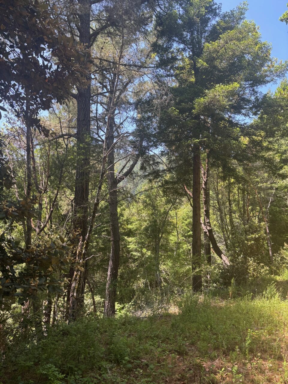 Listing Image 21