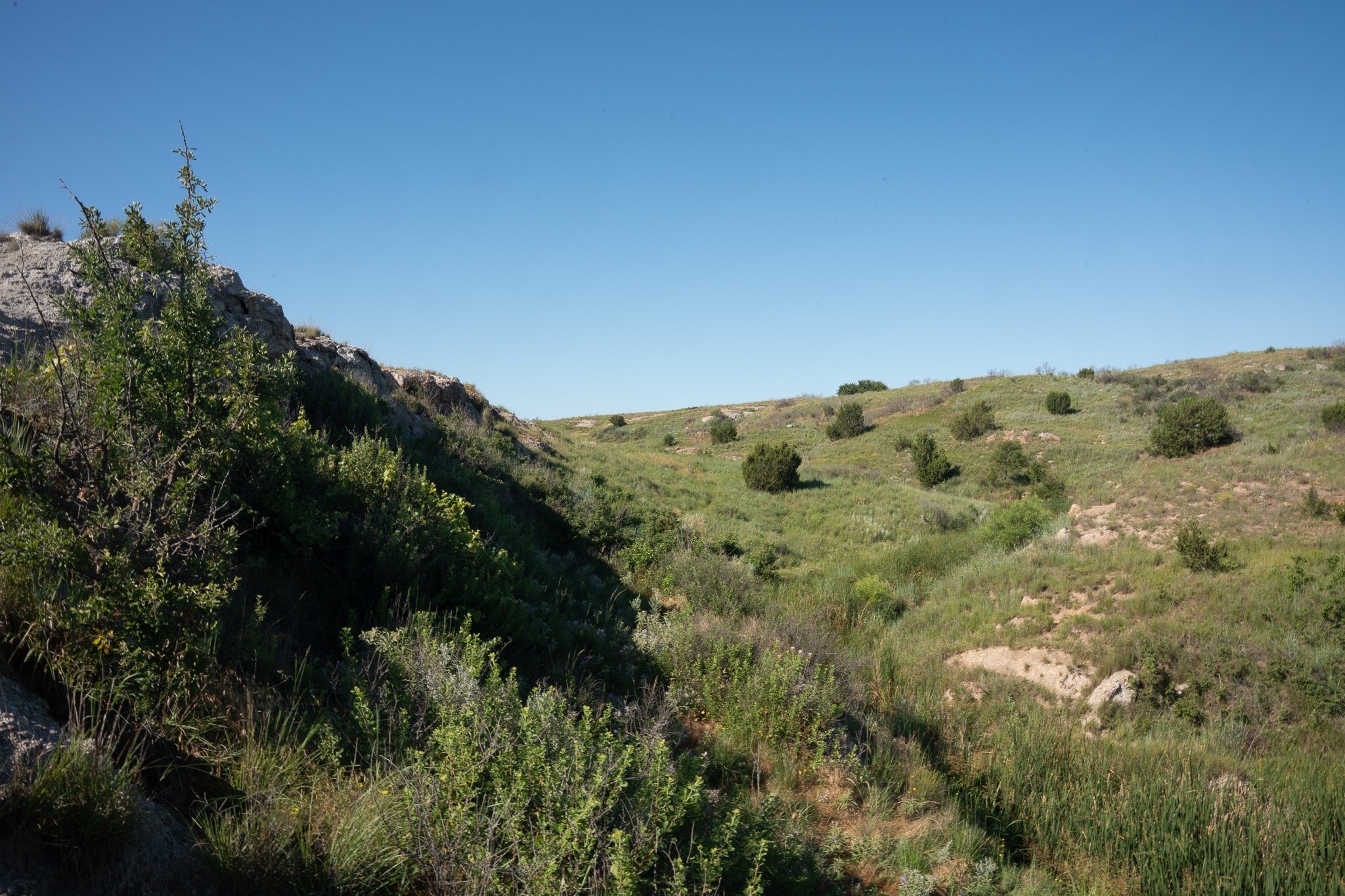 Miller Land & Cattle, LTD
