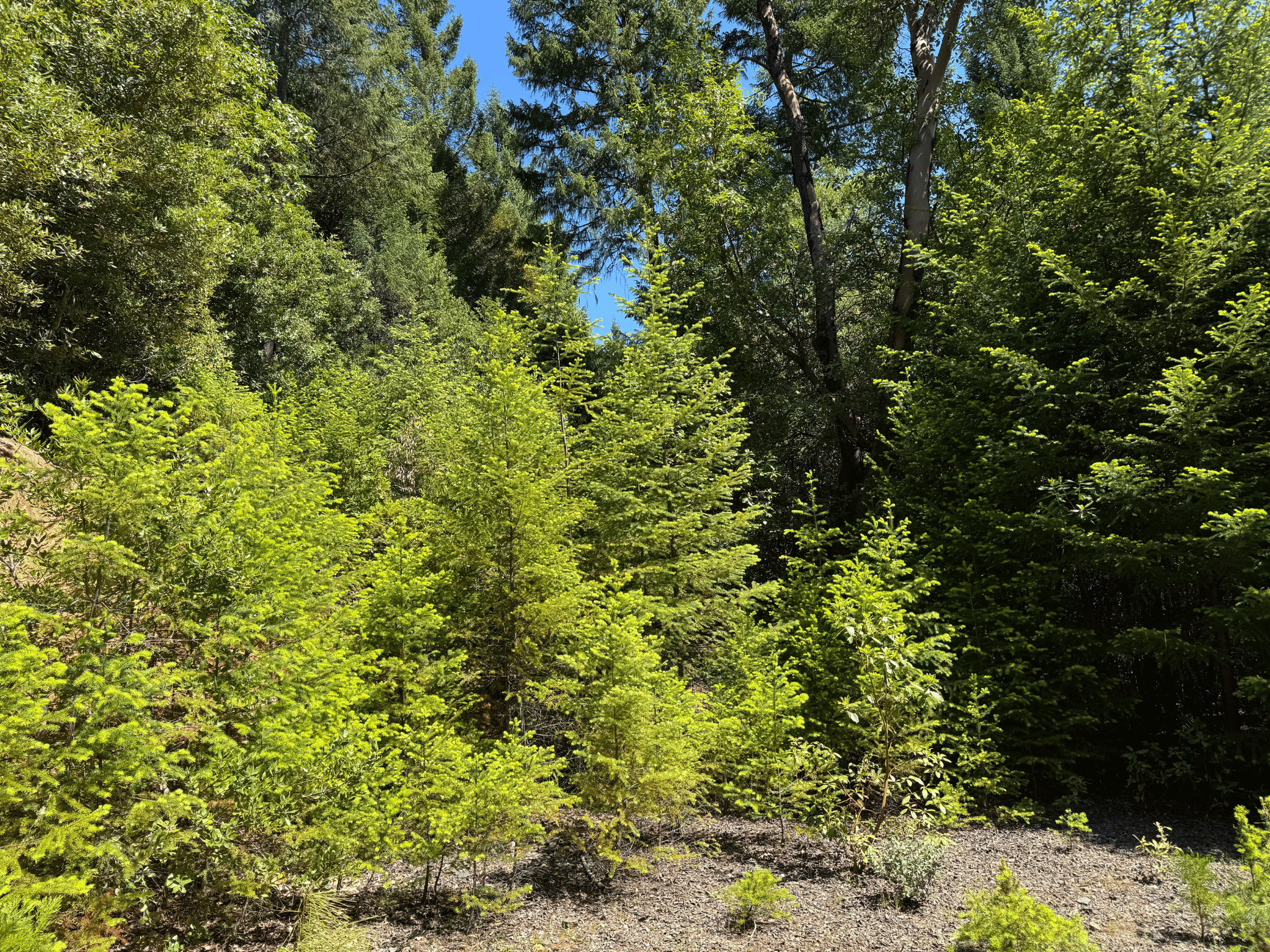 Listing Image 17