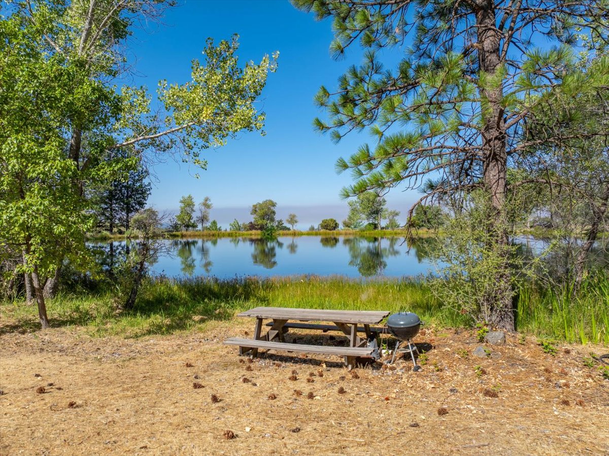 Alger Vineyards and More