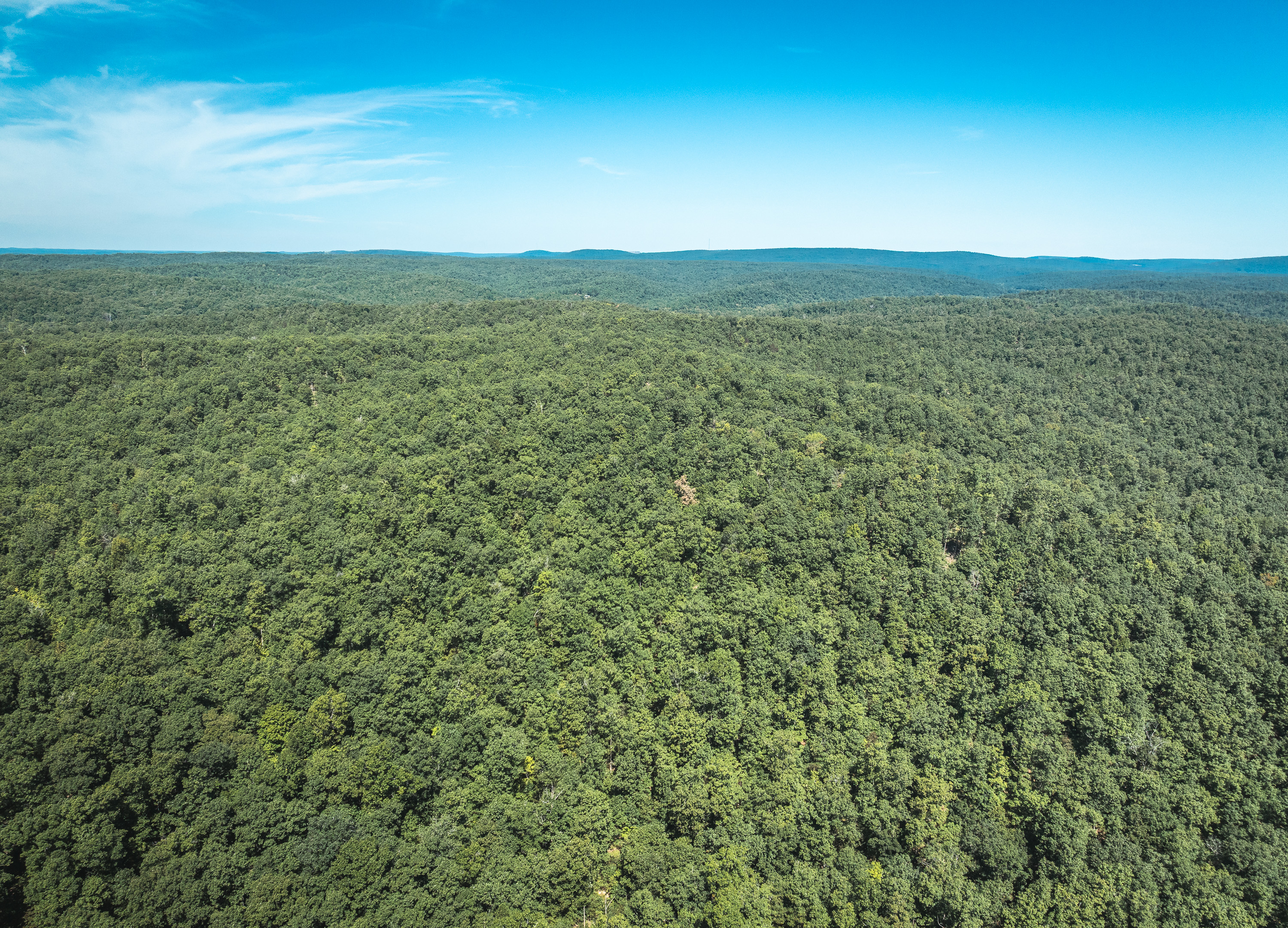 Ozark Wilderness Retreat