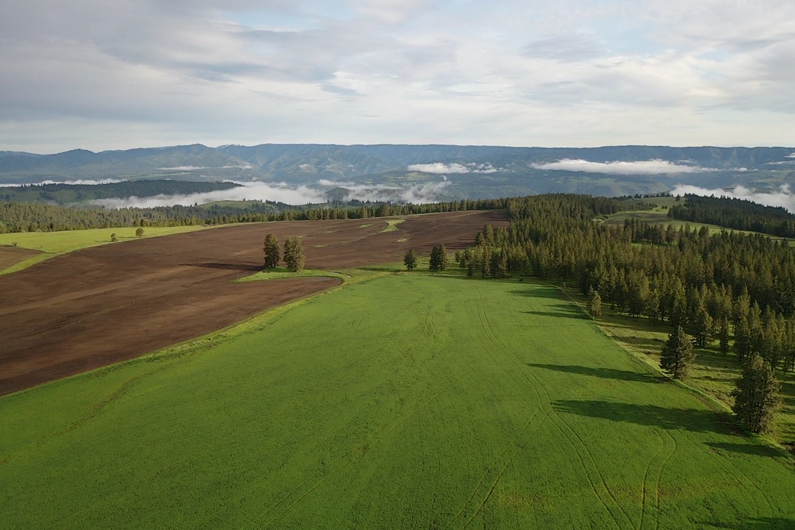 Buford Ridge Ranch