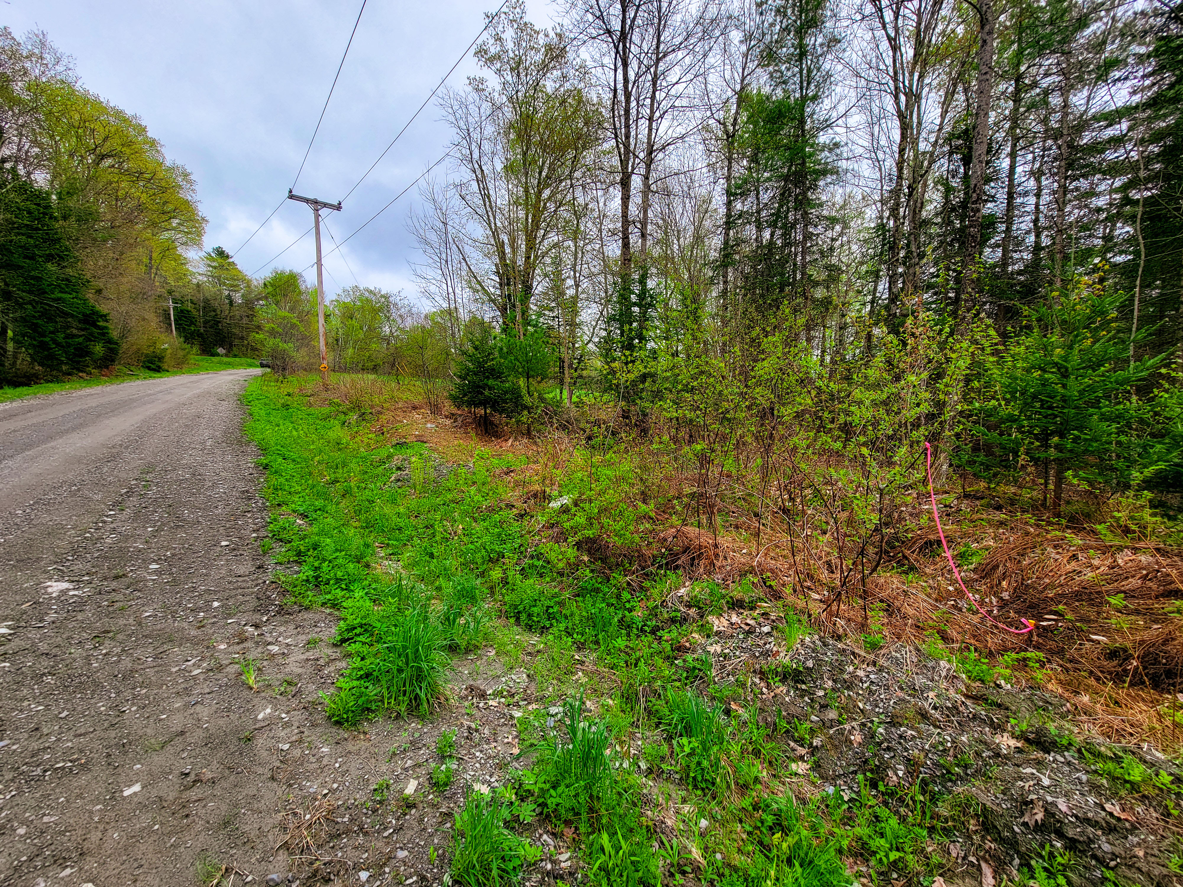 855 Campbell Rd - Waterford