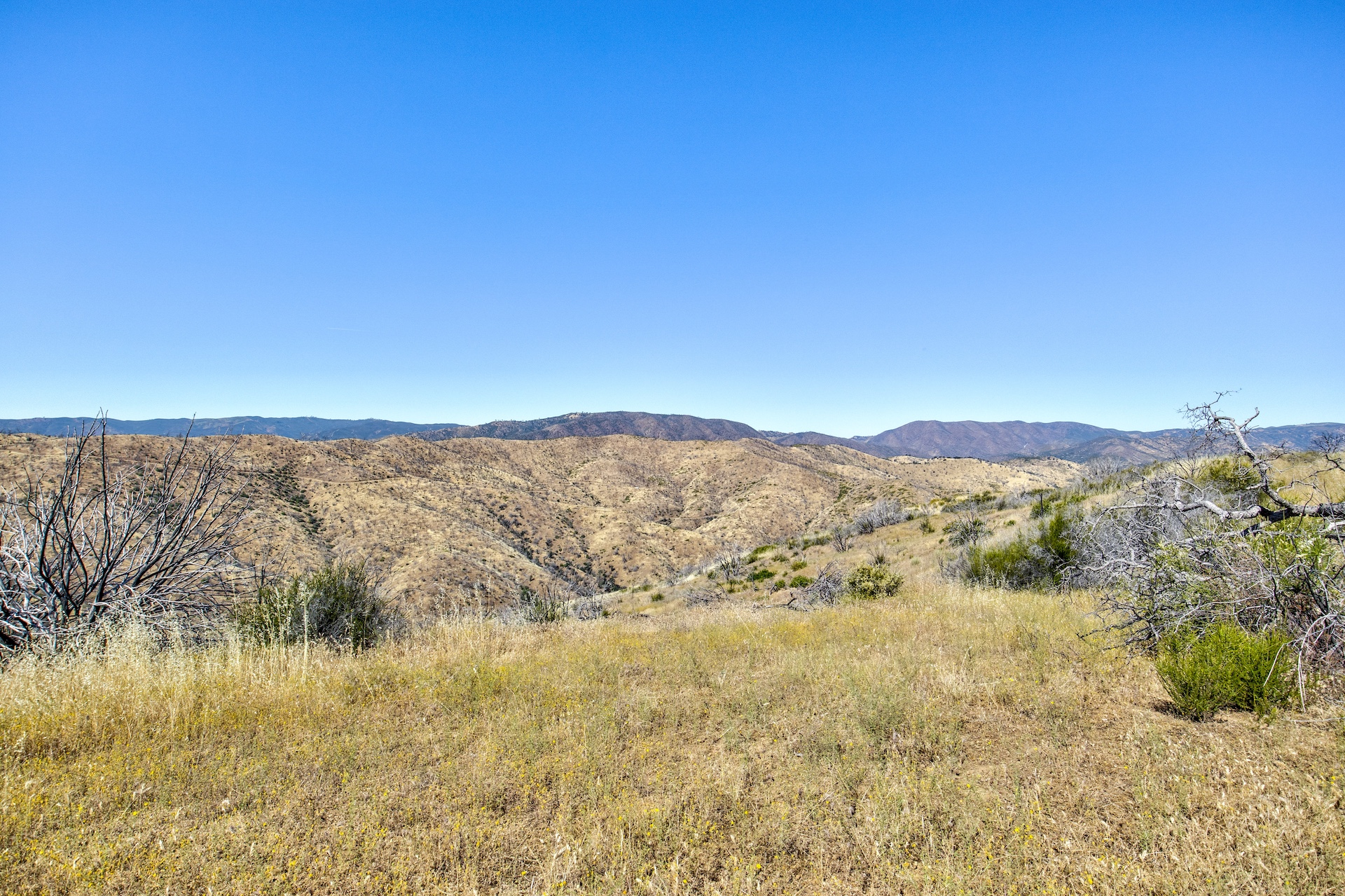 Old Iron Gate Ranch