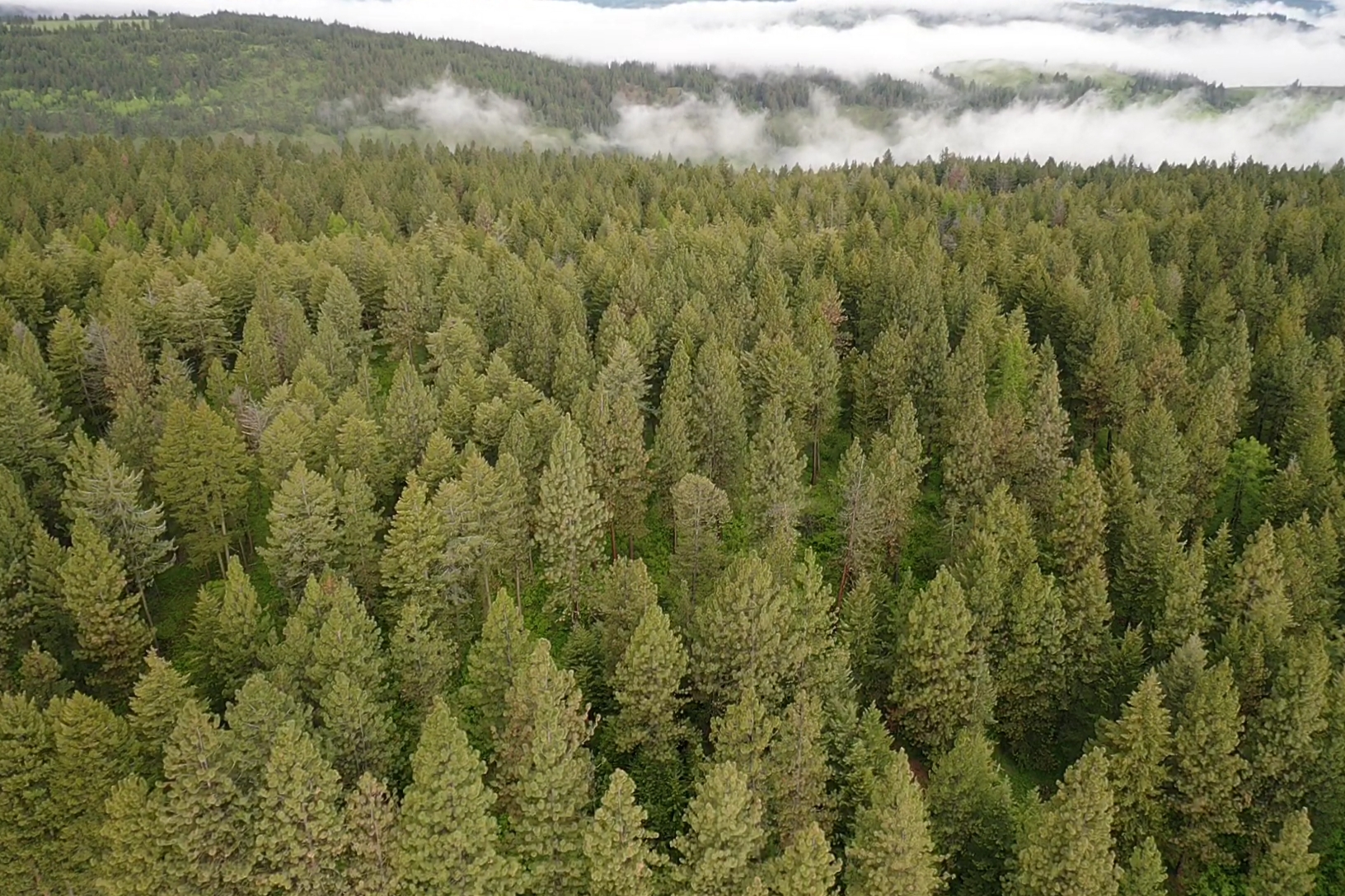 Buford Ridge Ranch