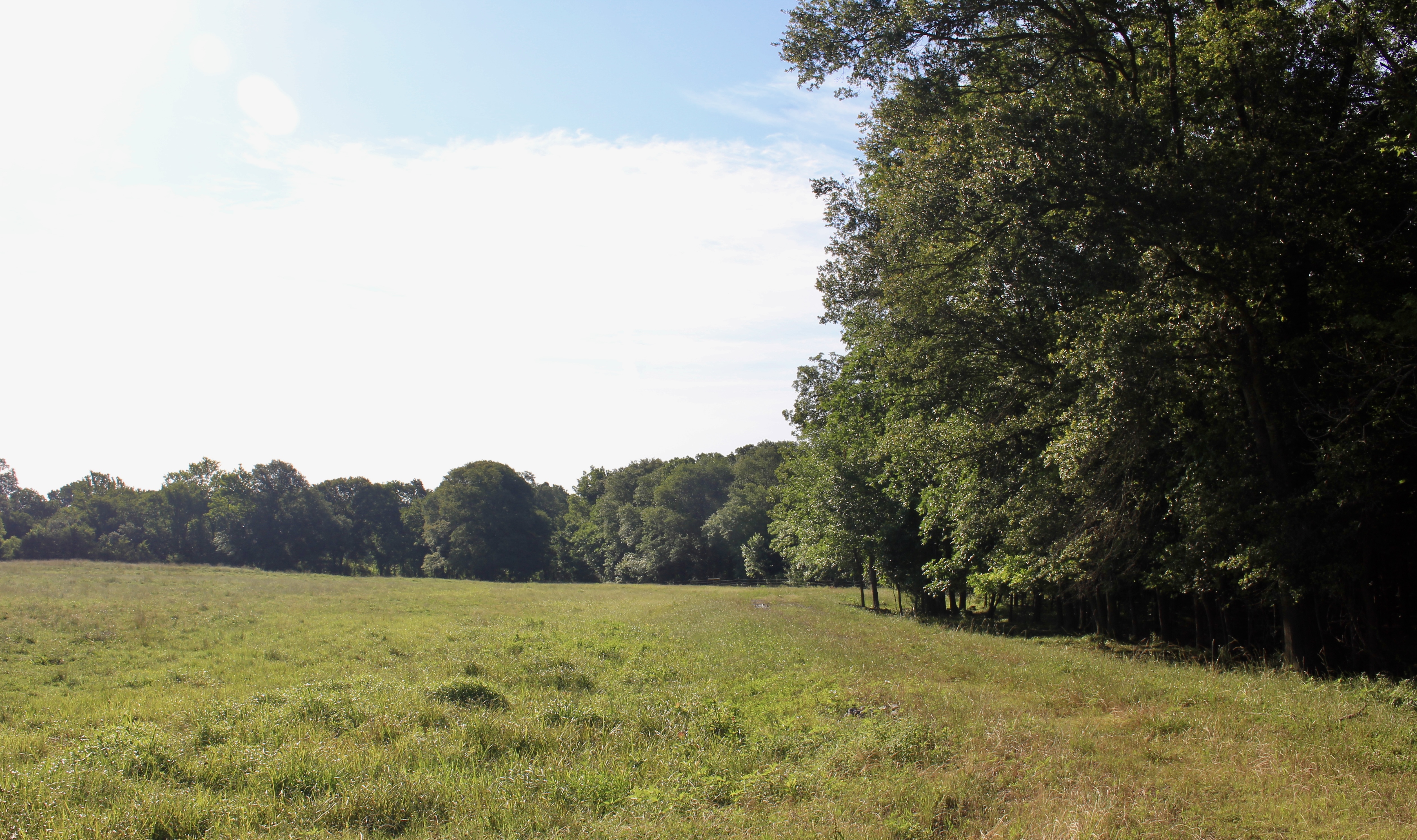 River Valley Rotational Grazing
