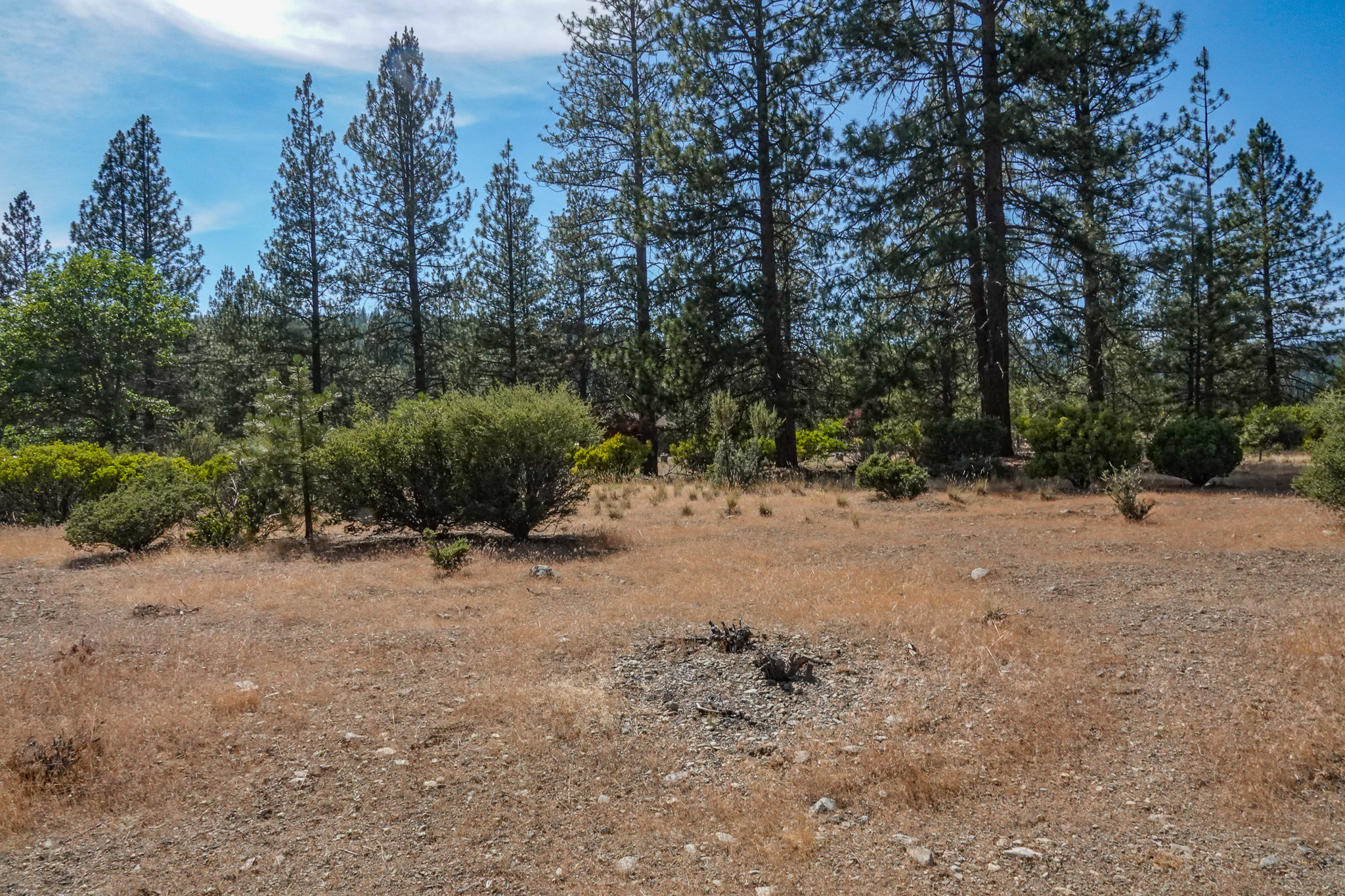 Listing Image 47