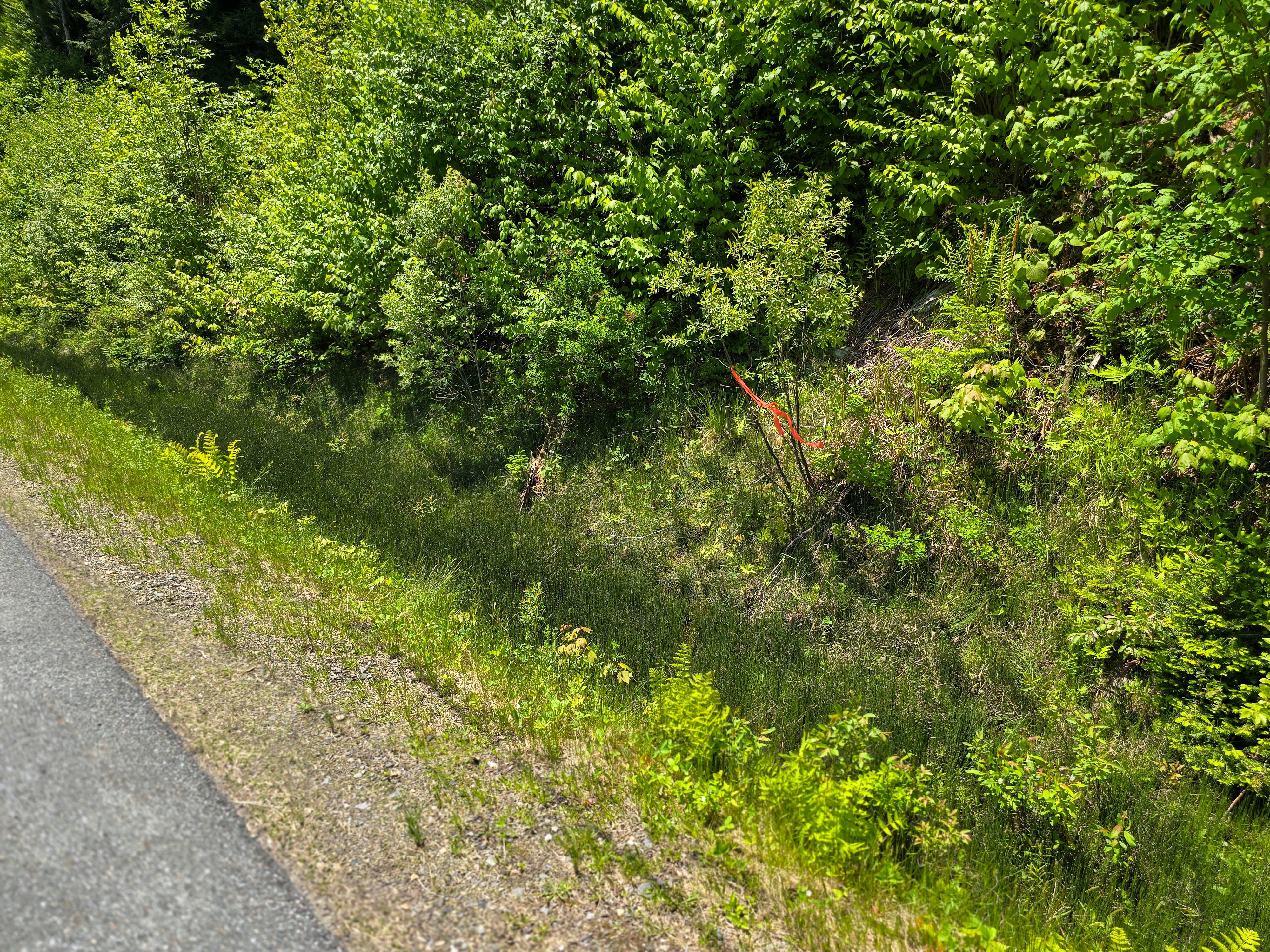 150 Spur Rd - Bloomfield