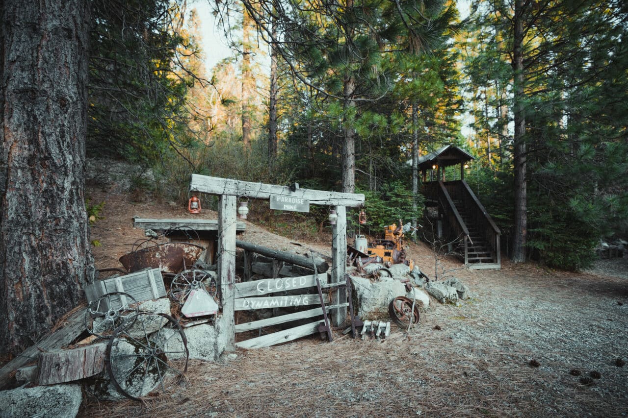 Listing Image 23