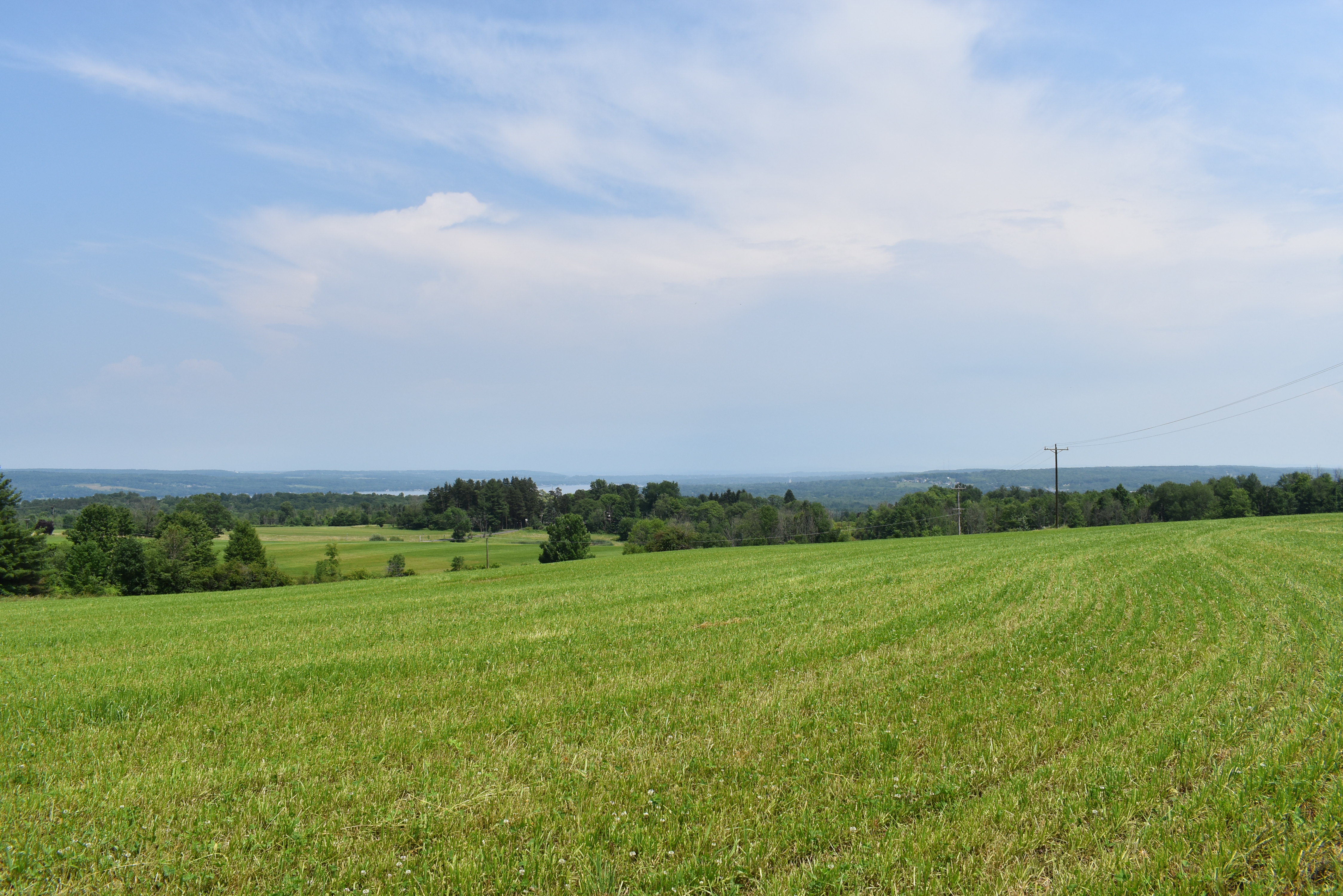 Listing Image 99