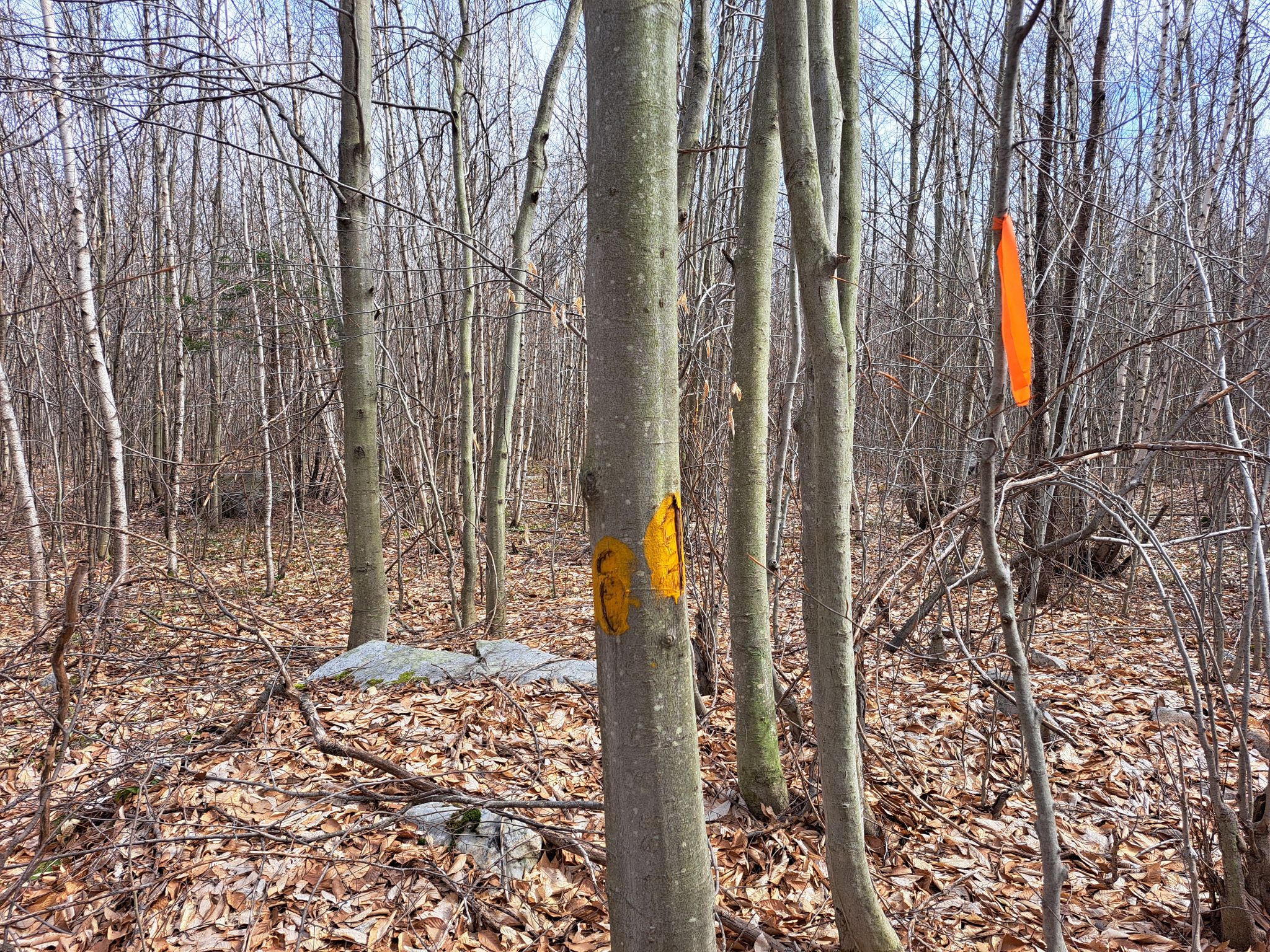 Listing Image 32