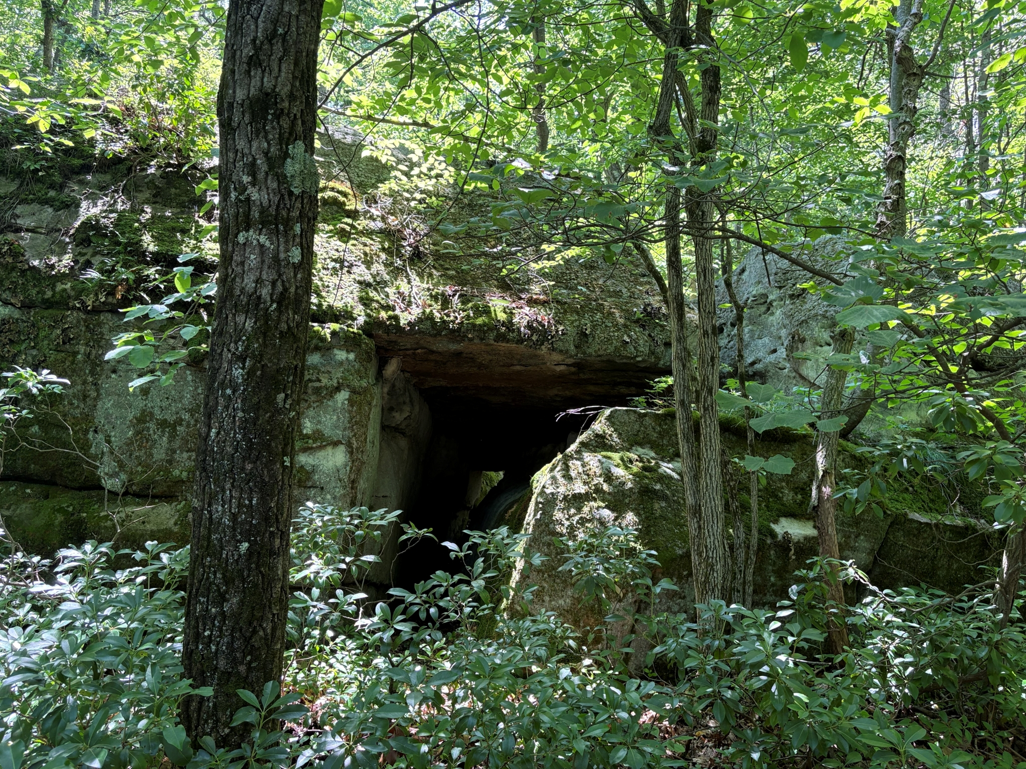 Listing Image 48
