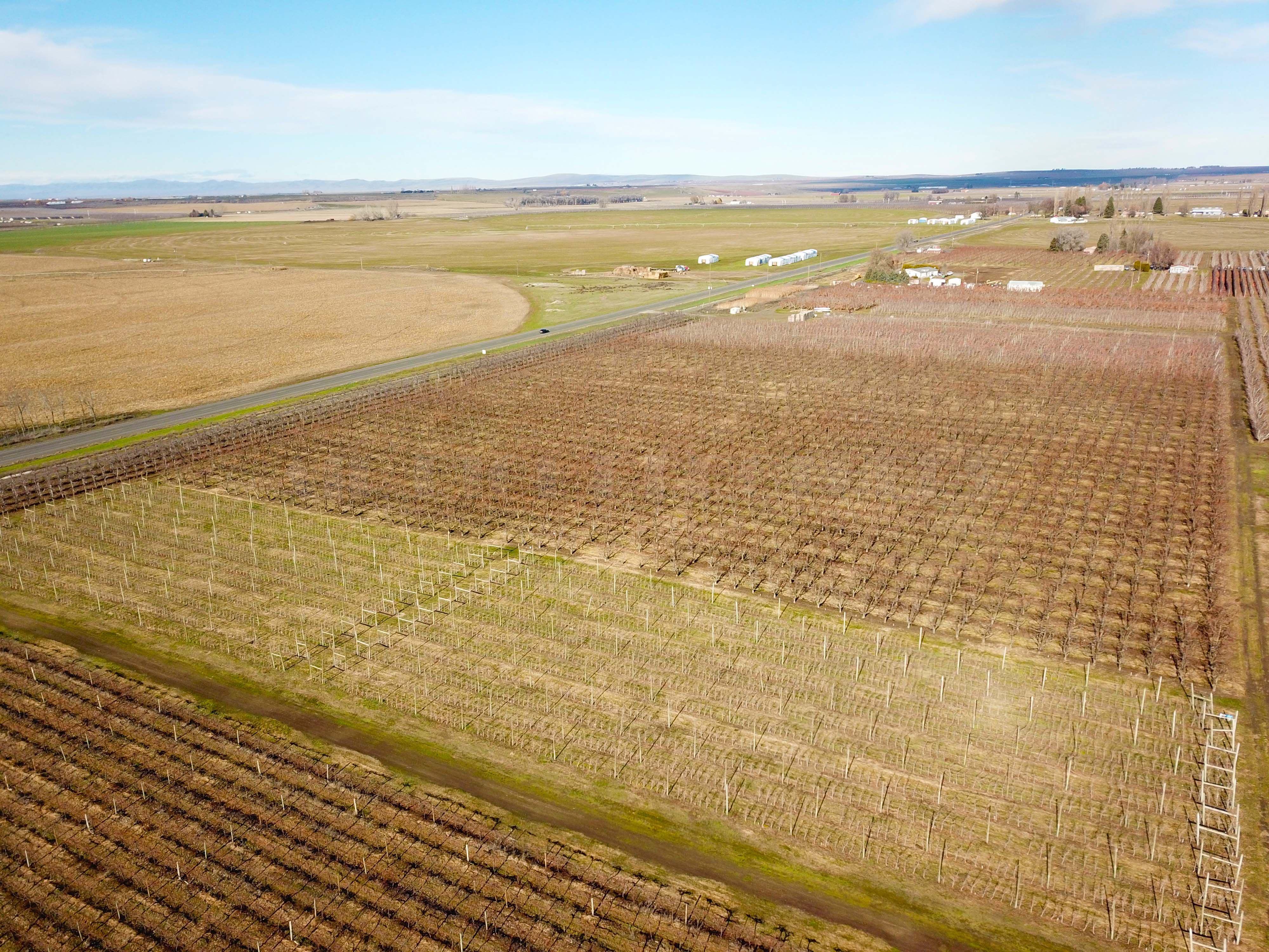 Best Price in County for Productive Orchard