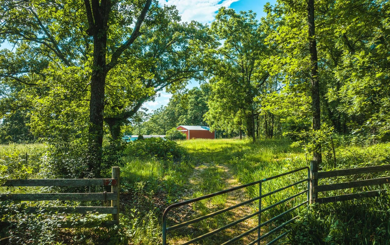 Listing Image 4