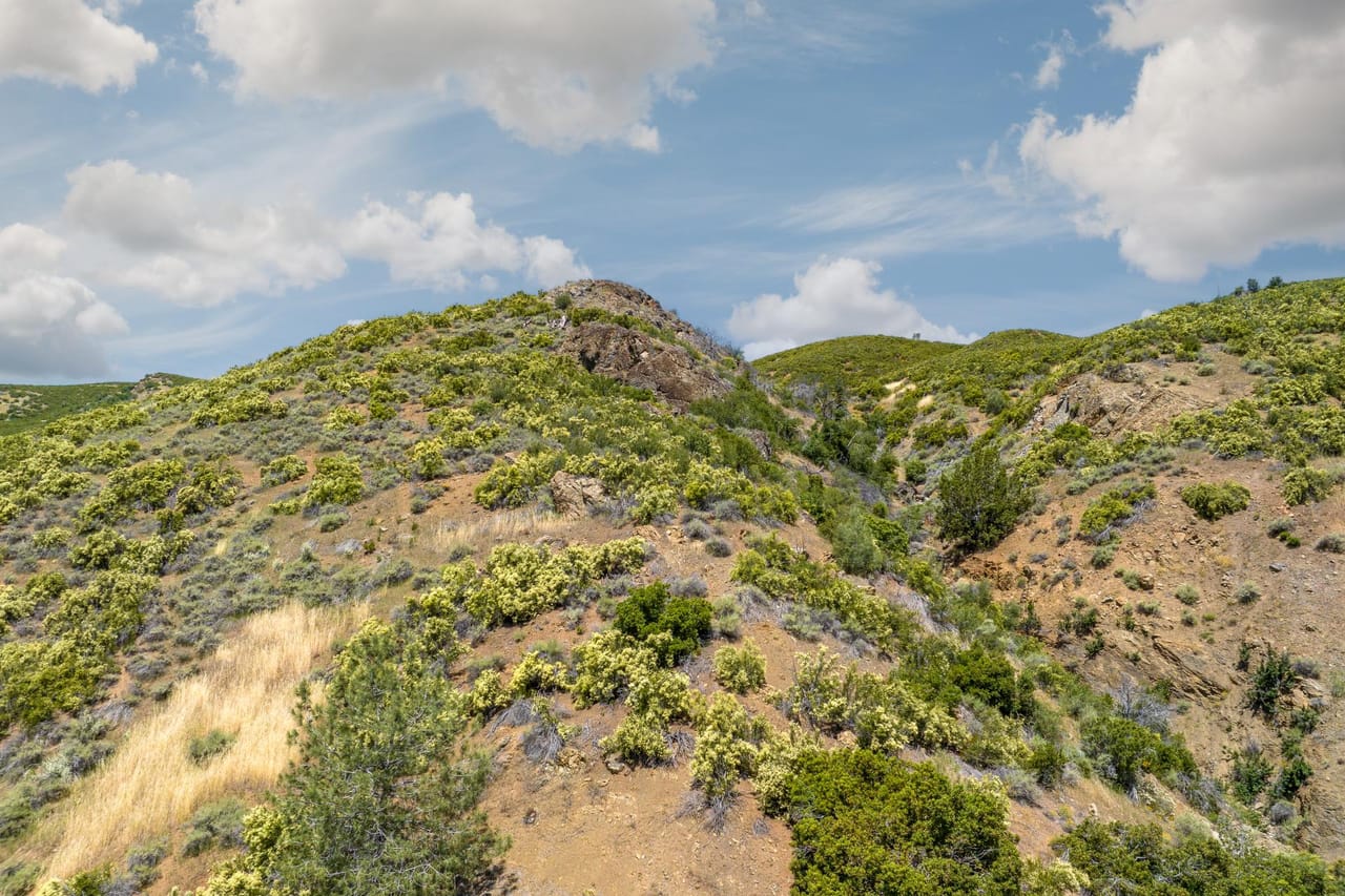 Listing Image 70