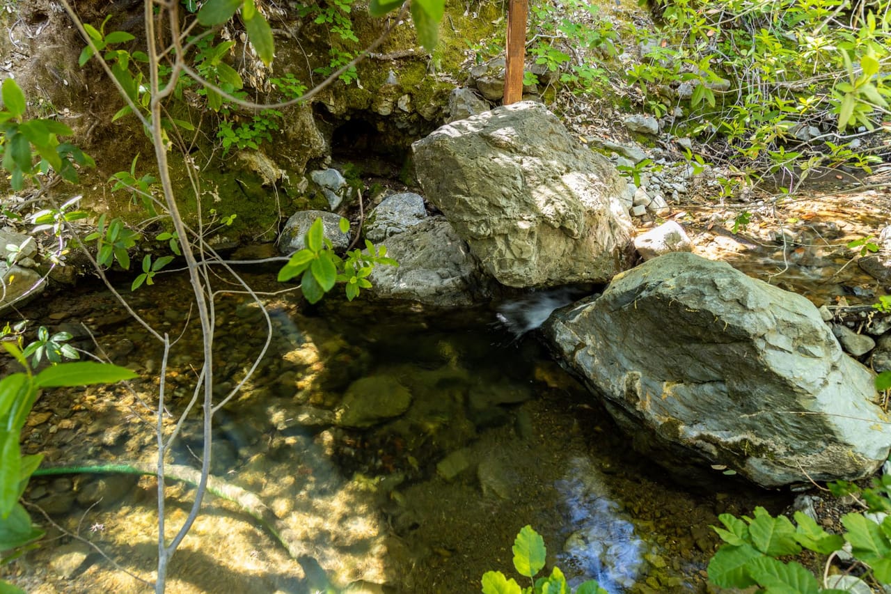 Listing Image 17