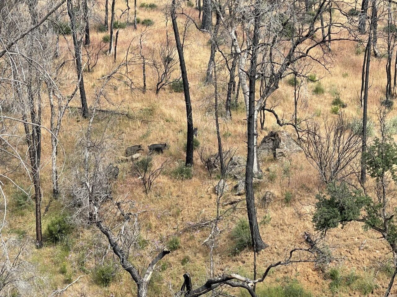 Listing Image 37