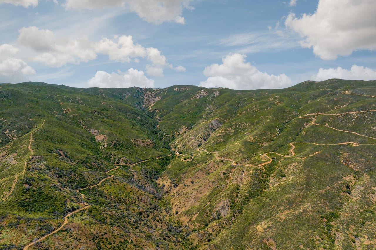 Listing Image 60