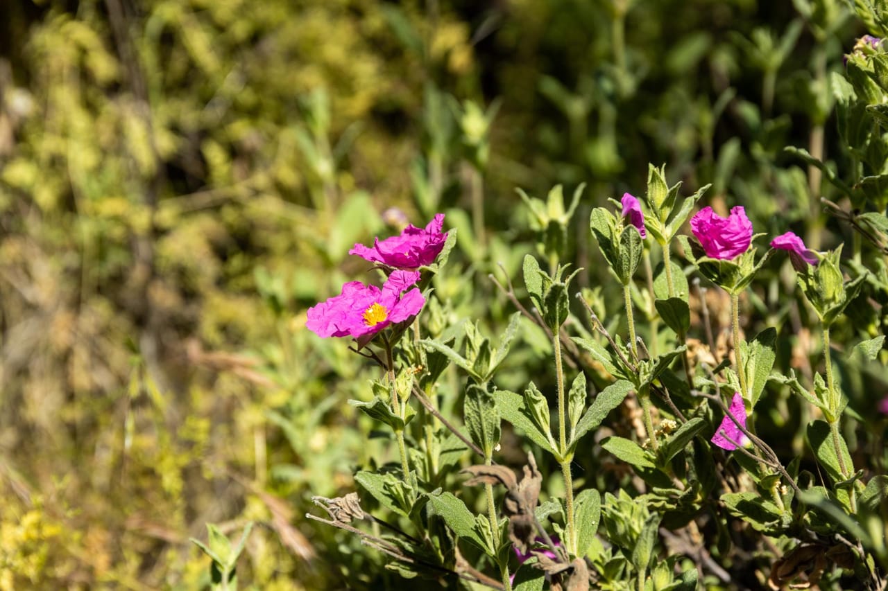 Listing Image 65